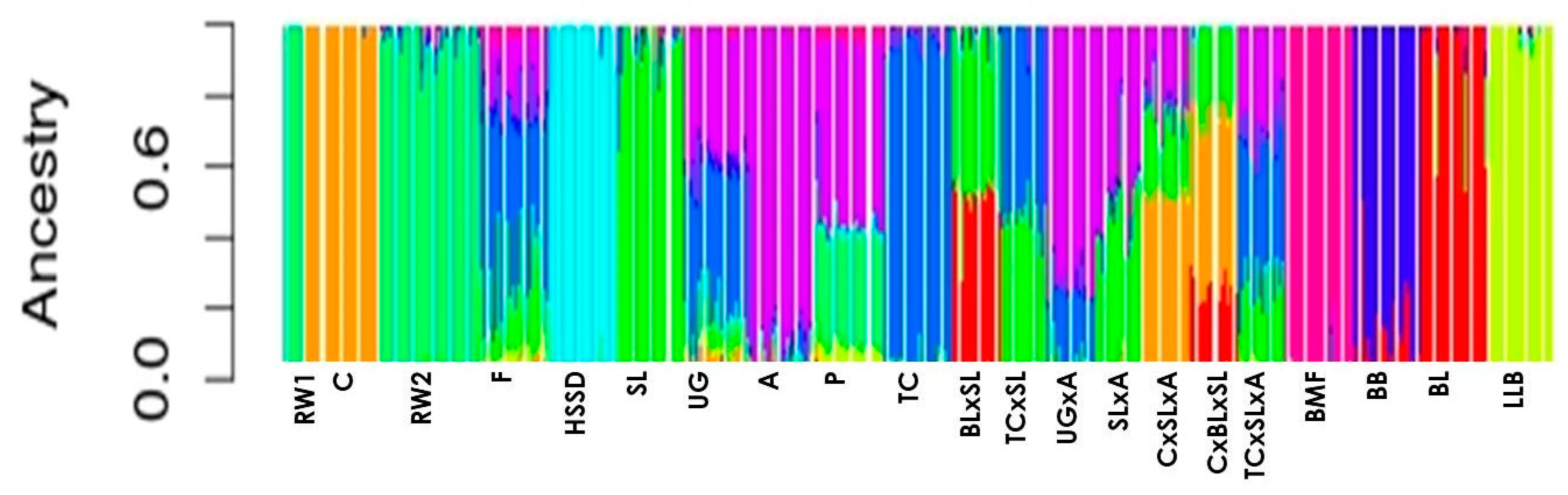 Animals 10 01887 g002