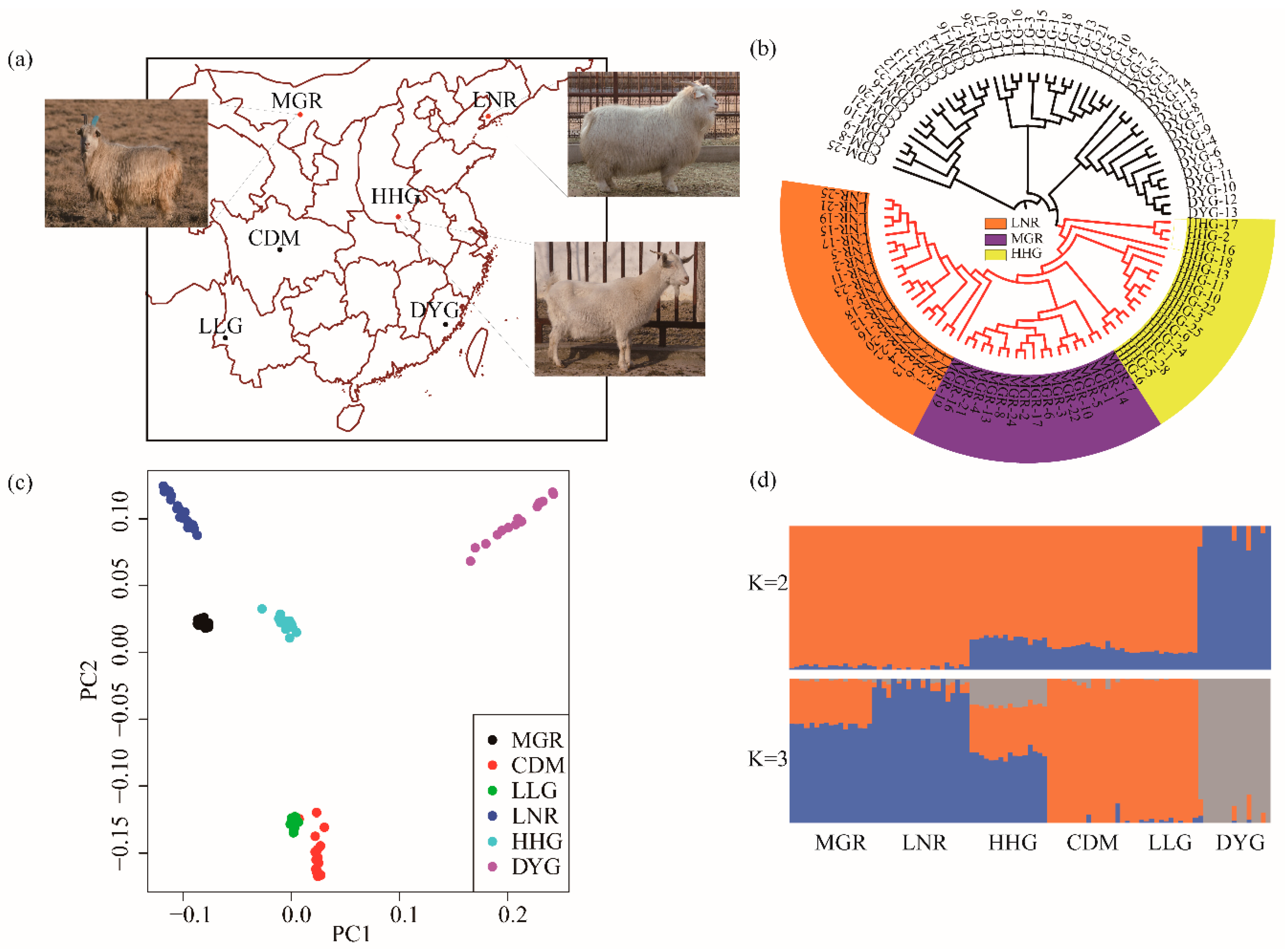 Animals 10 01905 g001