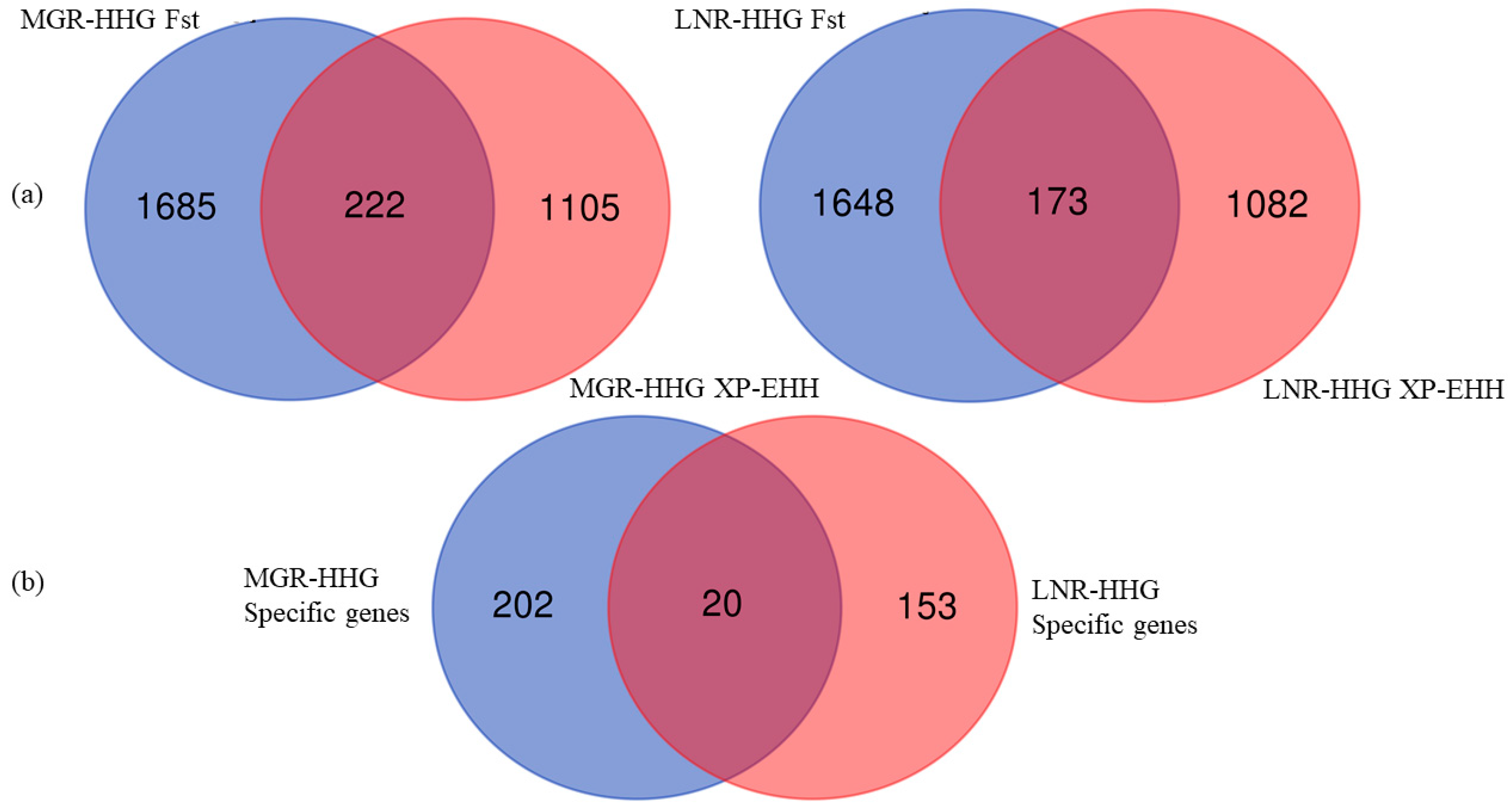 Animals 10 01905 g002