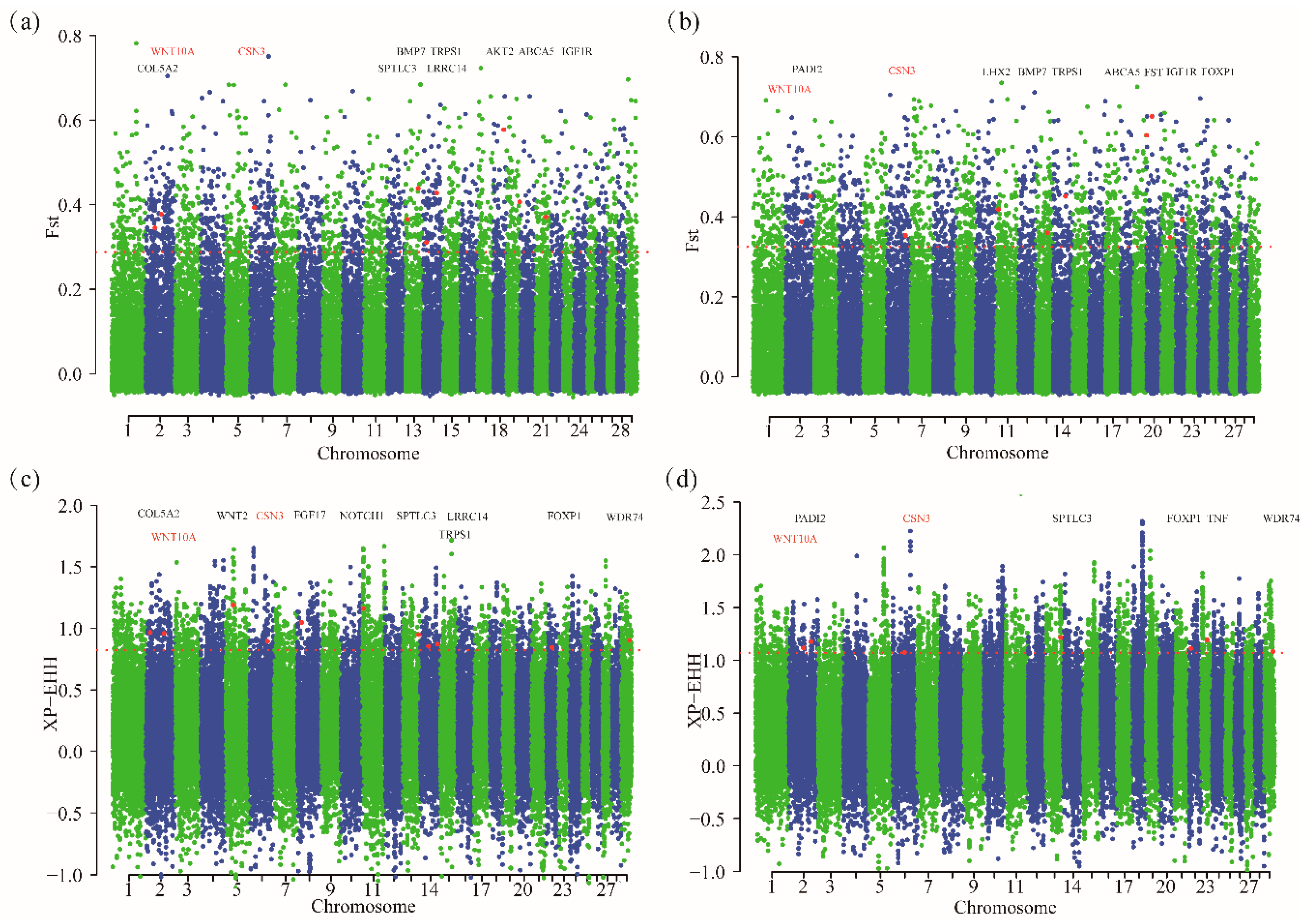 Animals 10 01905 g003