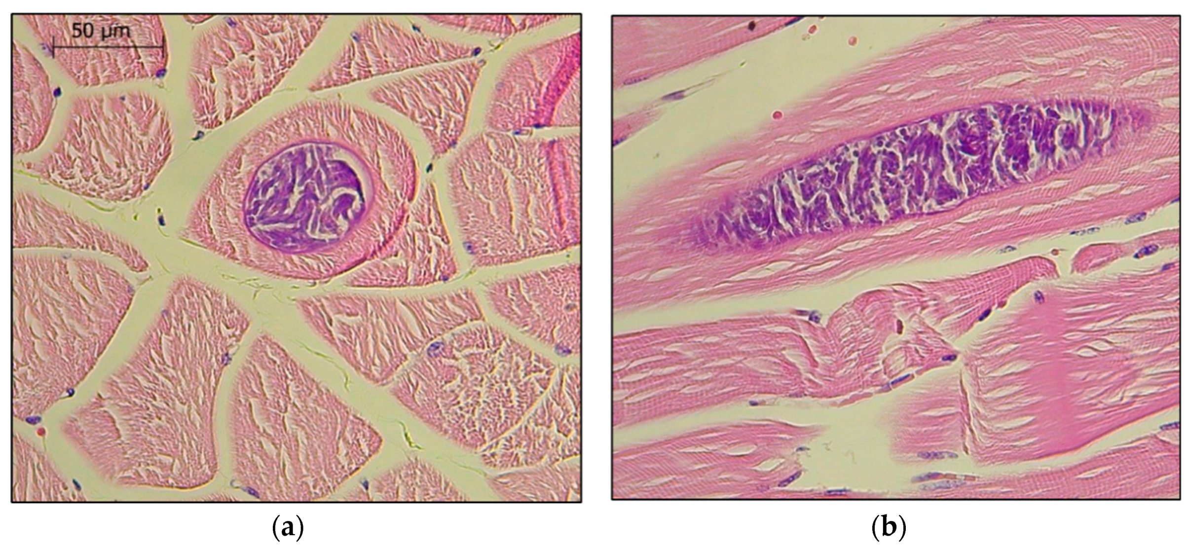 Animals 10 01921 g002 Animals 10 01921 g002