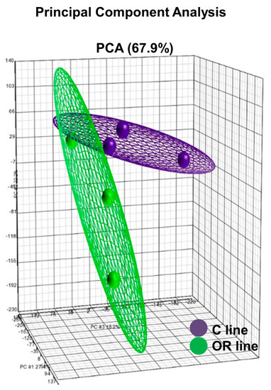 Ovarian Transcriptomic Analysis Reveals Differential