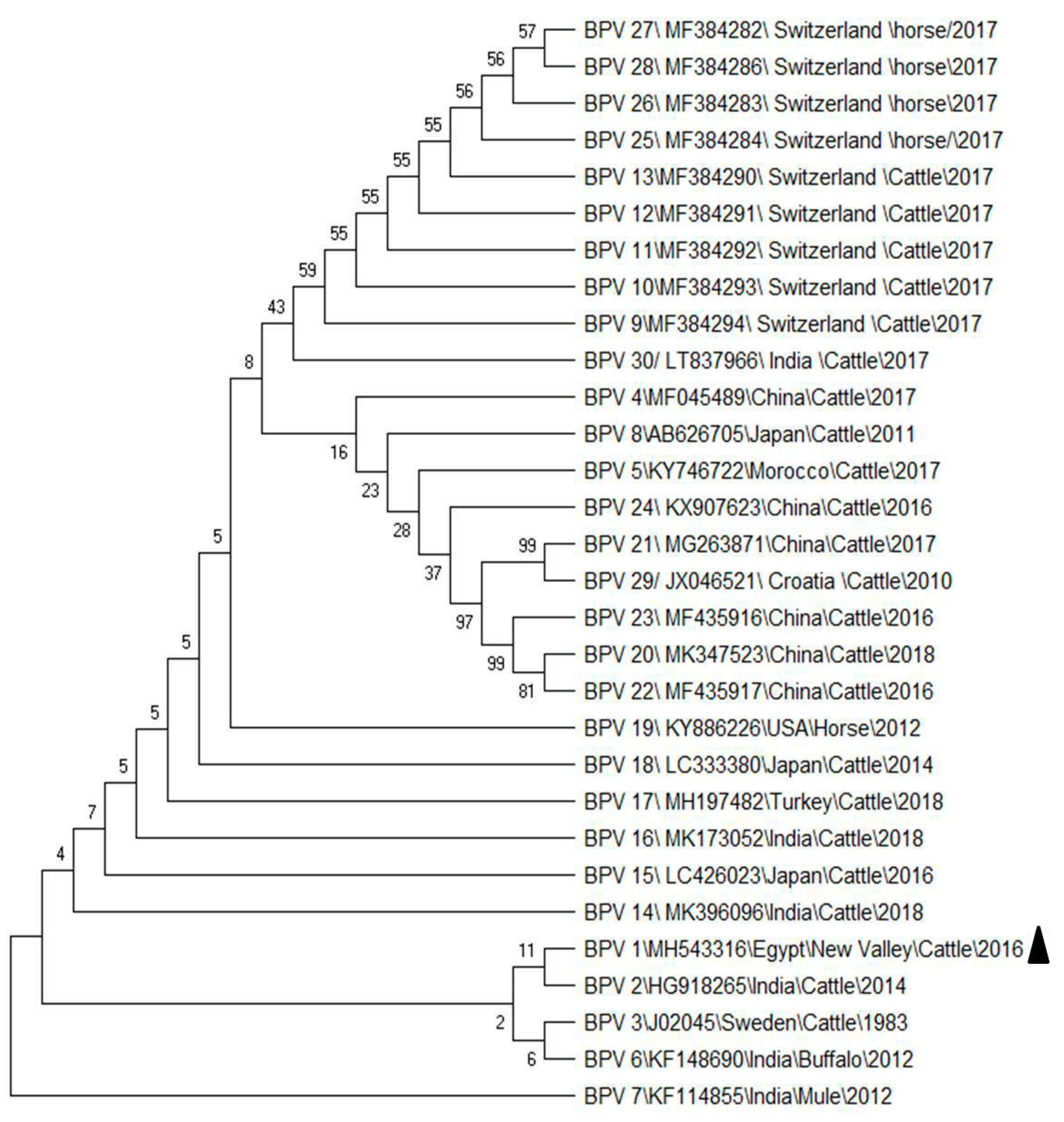 Animals 10 01929 g002