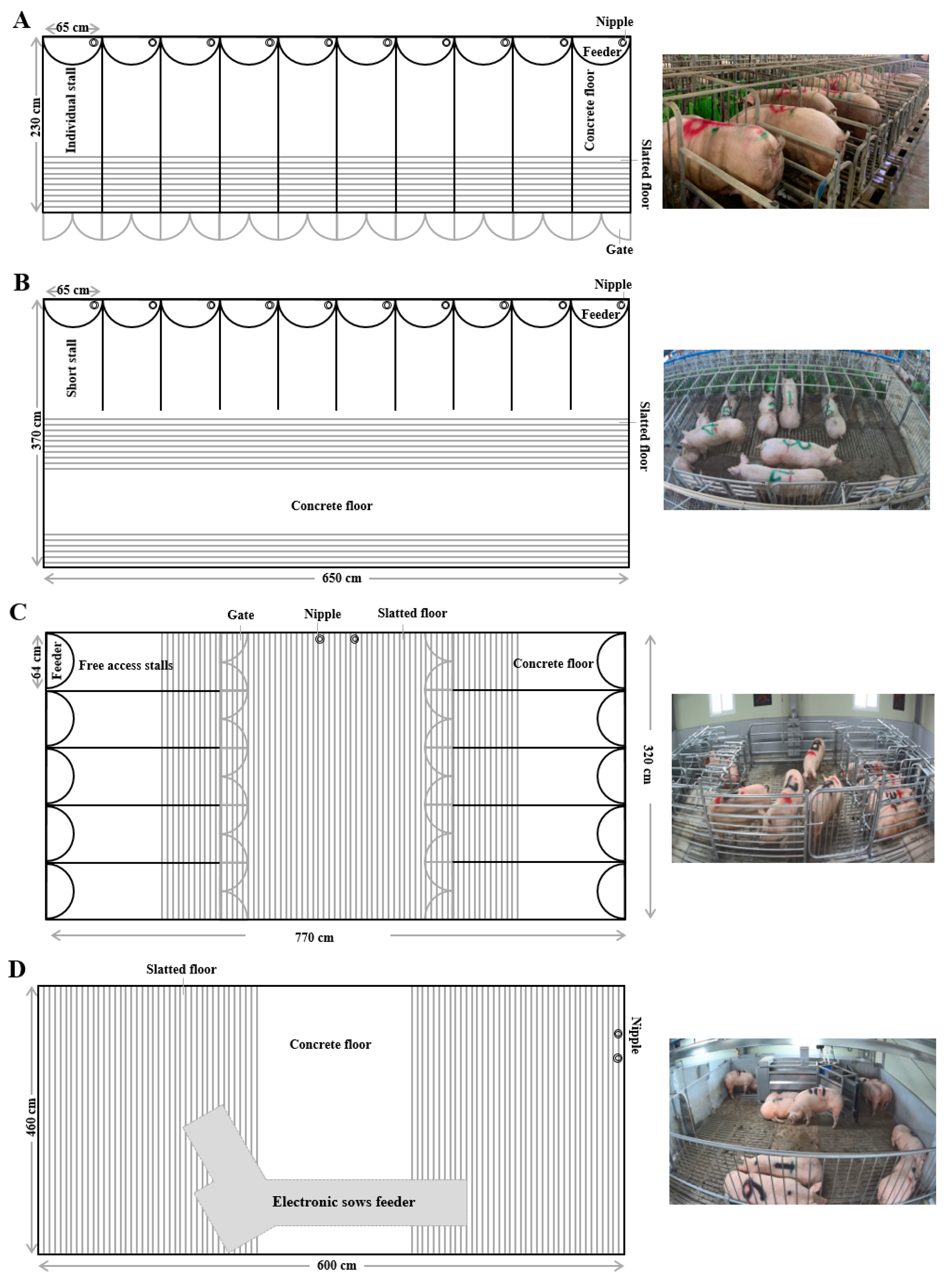 Animals 10 01940 g001