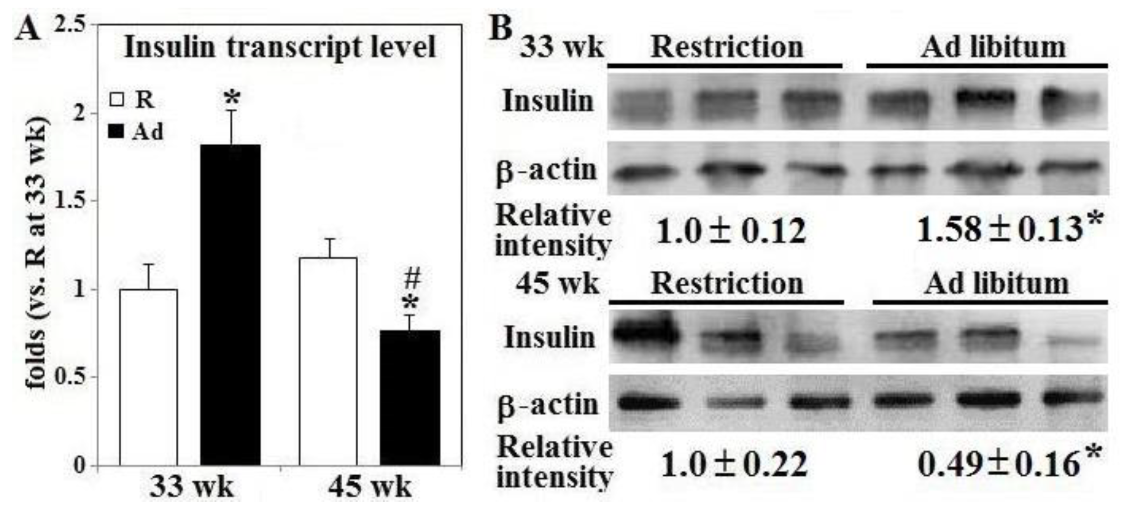 Animals 10 01969 g003
