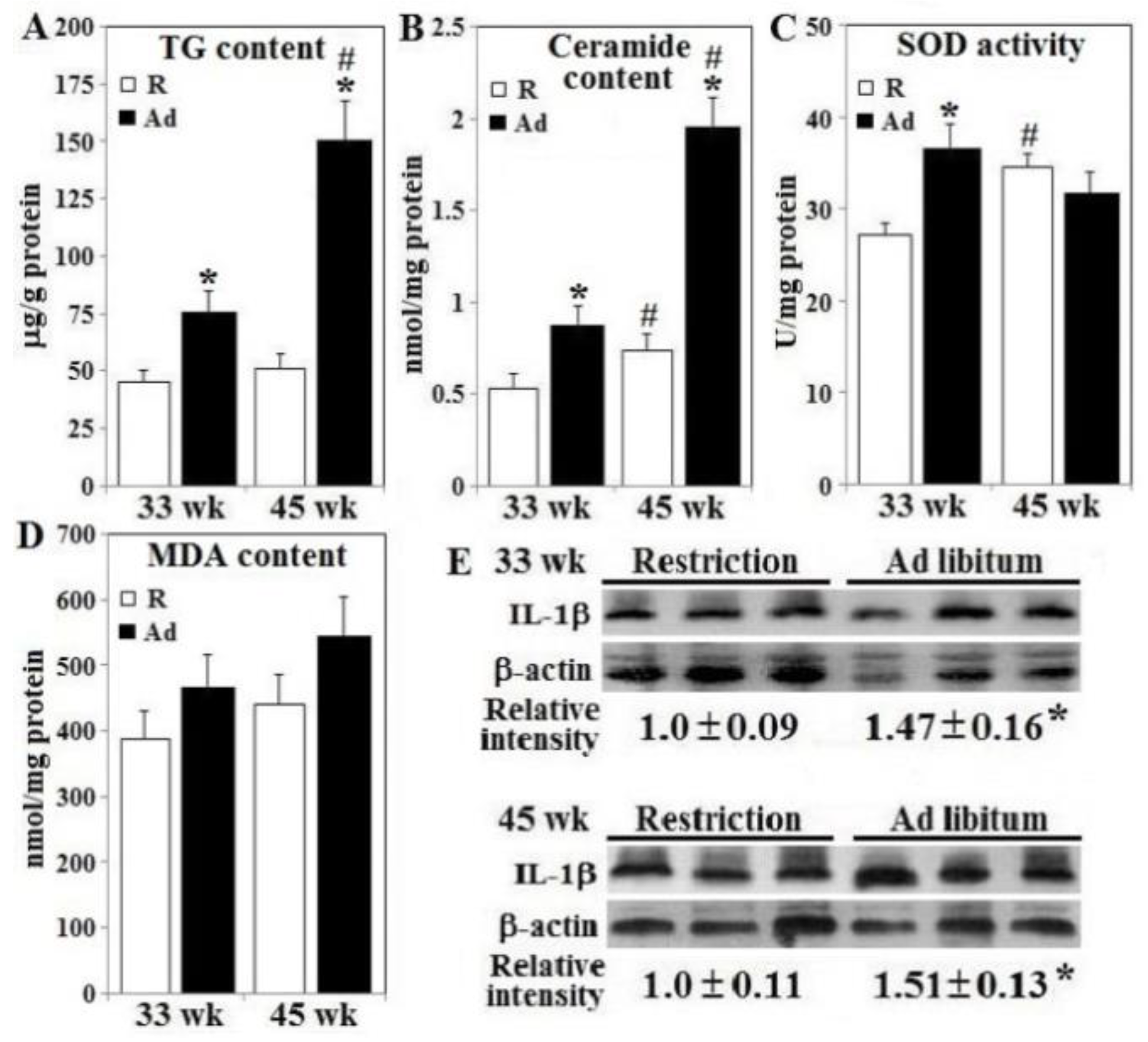 Animals 10 01969 g005