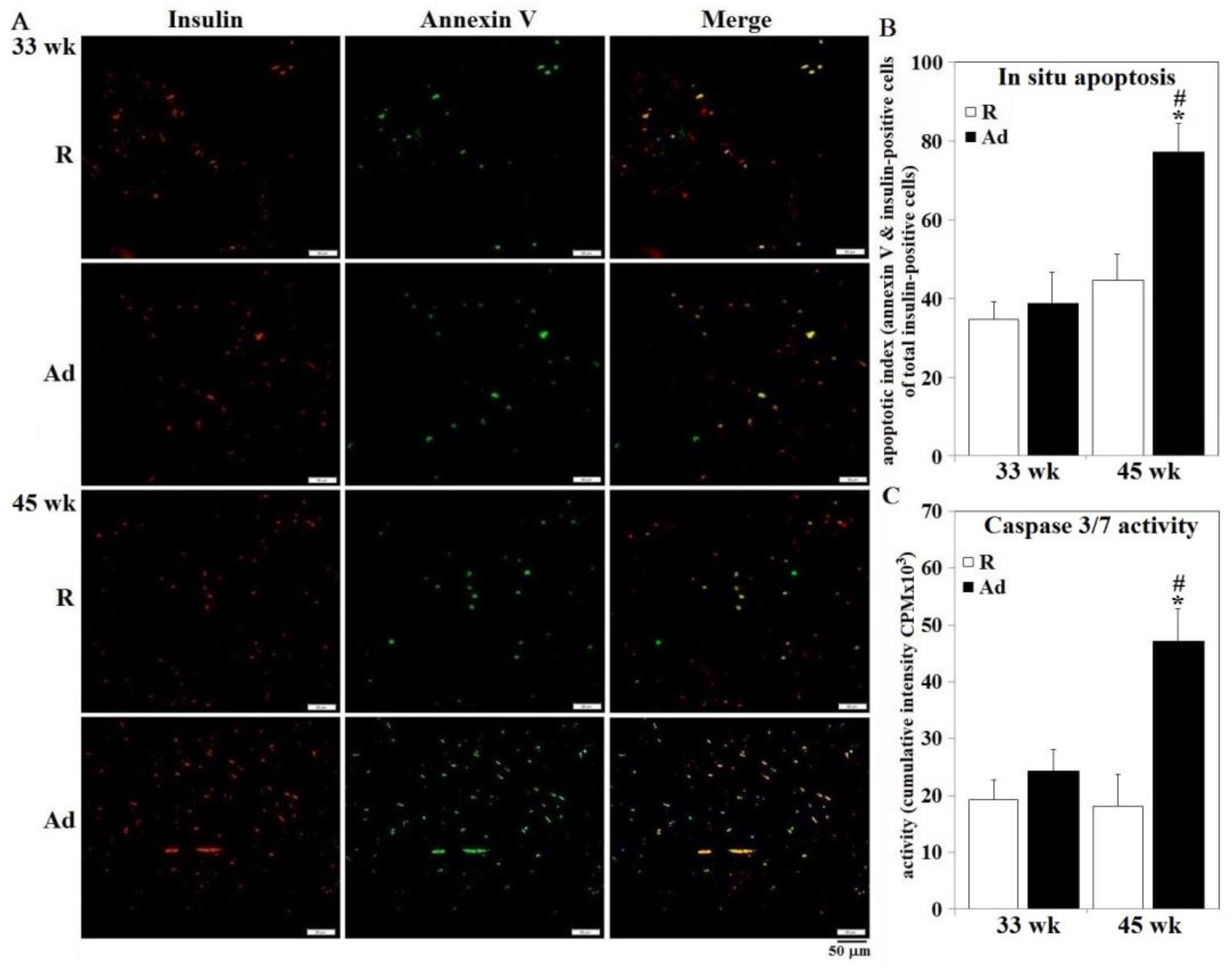 Animals 10 01969 g006