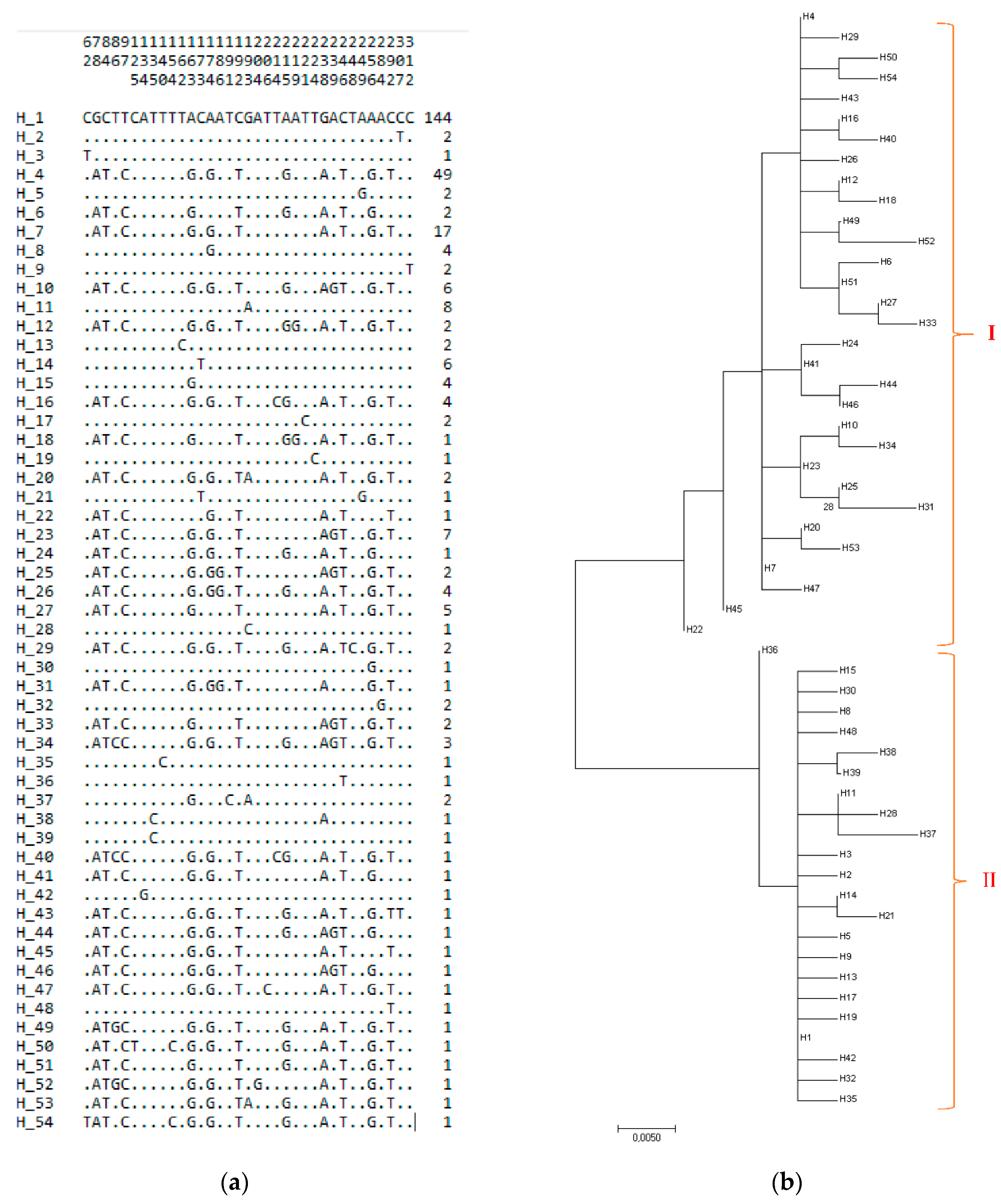 Animals 10 01970 g002