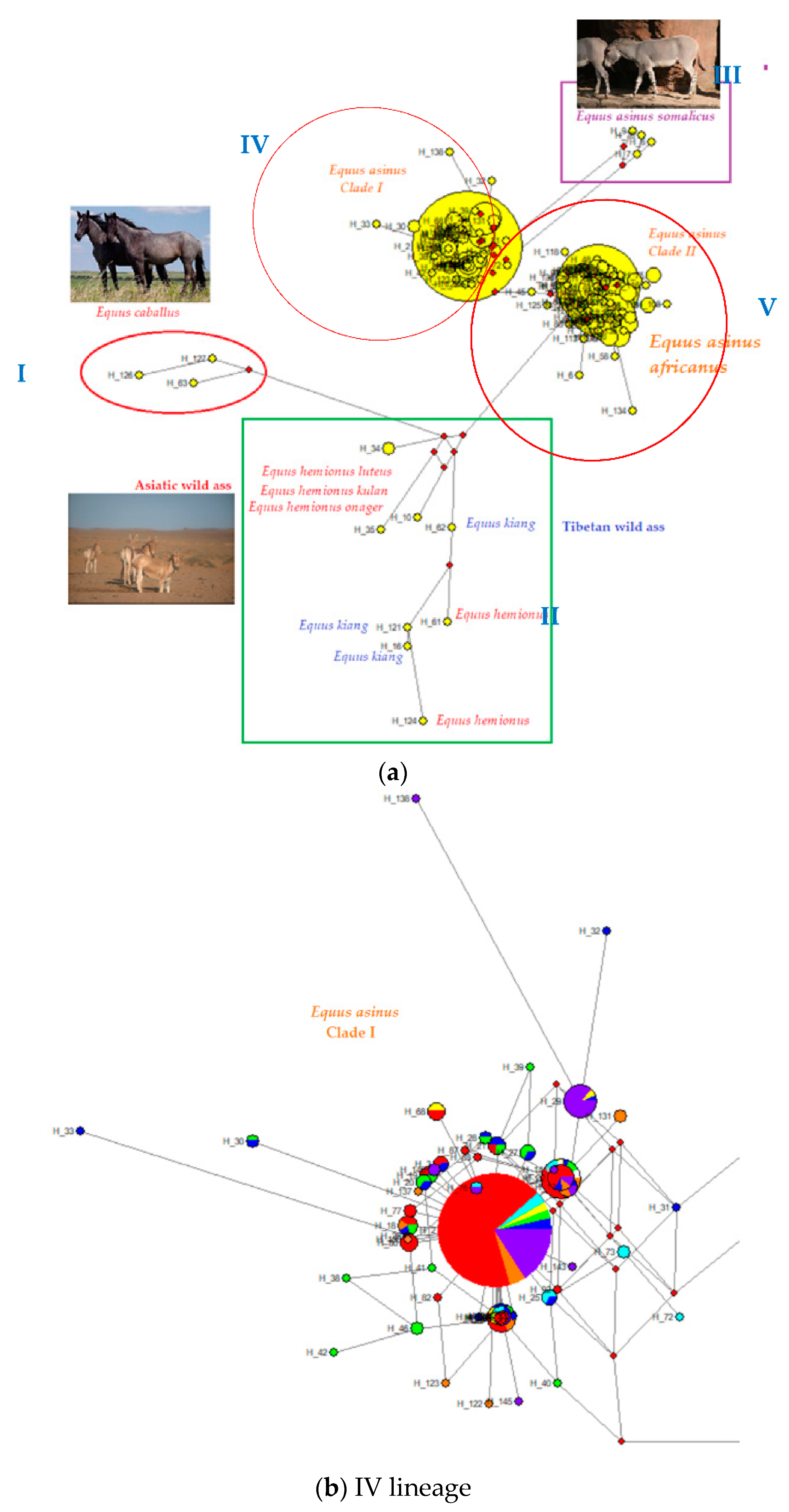 Animals 10 01970 g007a