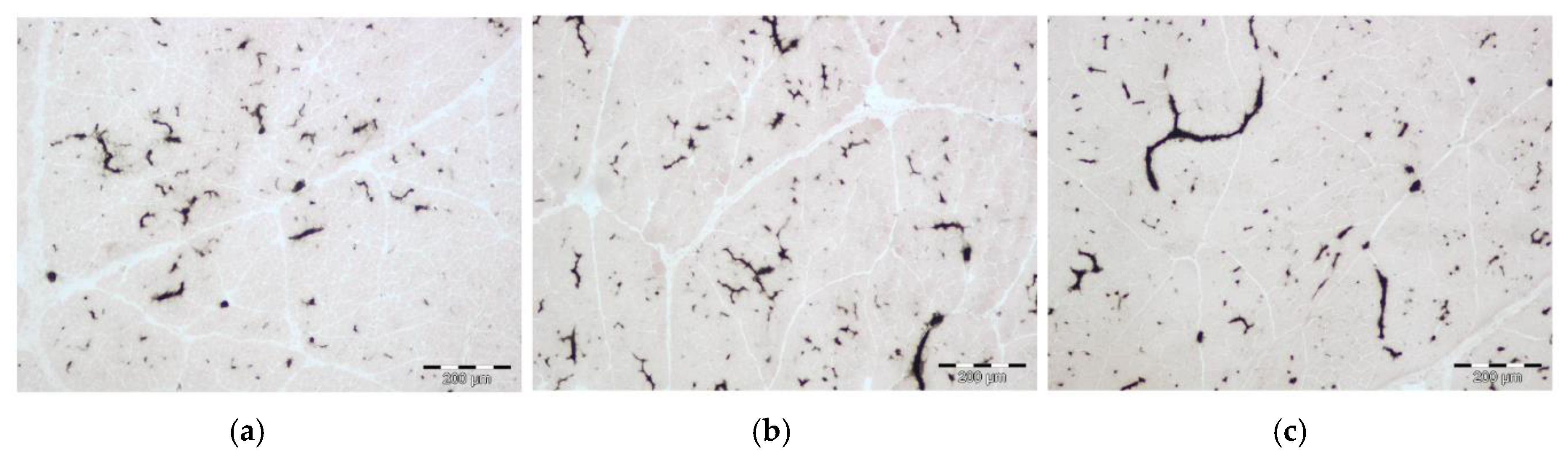 Animals 10 01976 g003 Animals 10 01976 g003