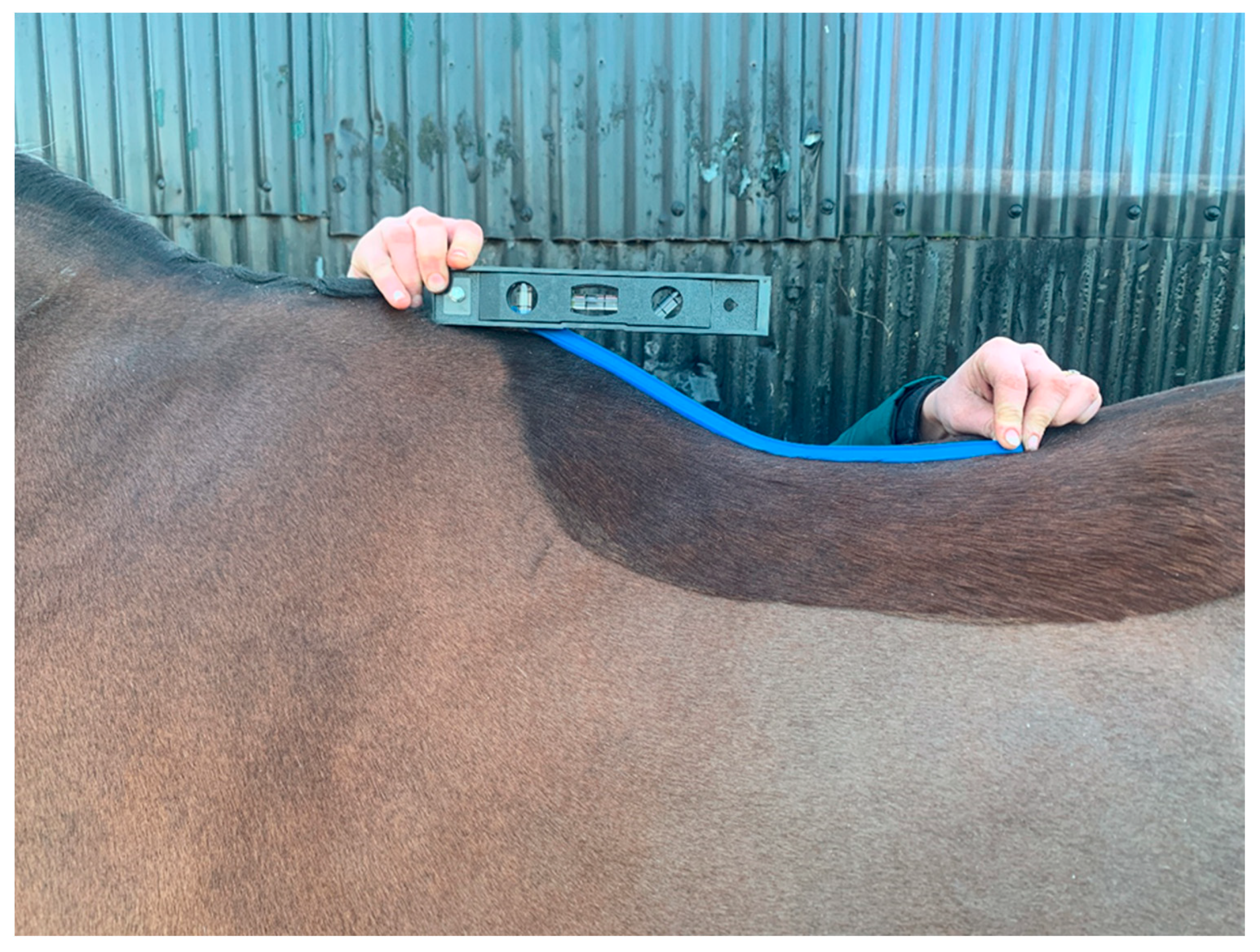 Animals 10 01977 g001