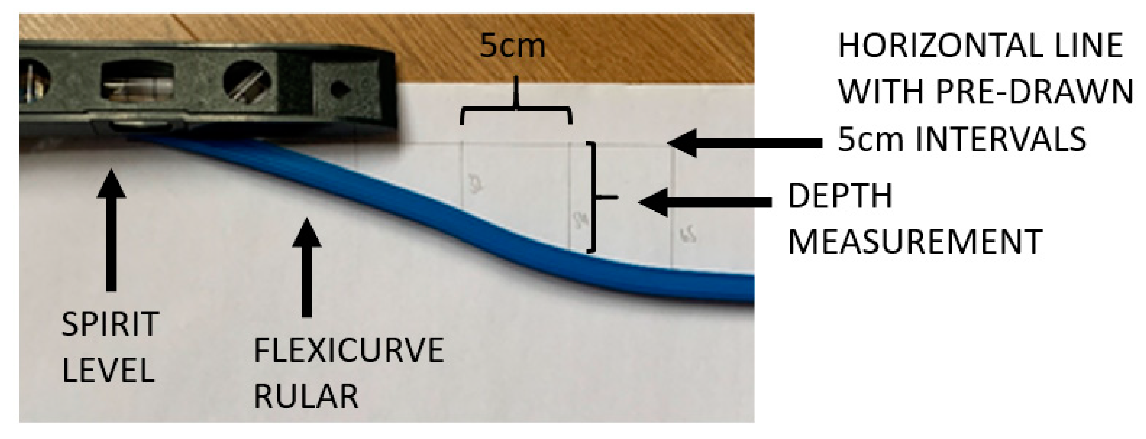 Animals 10 01977 g002