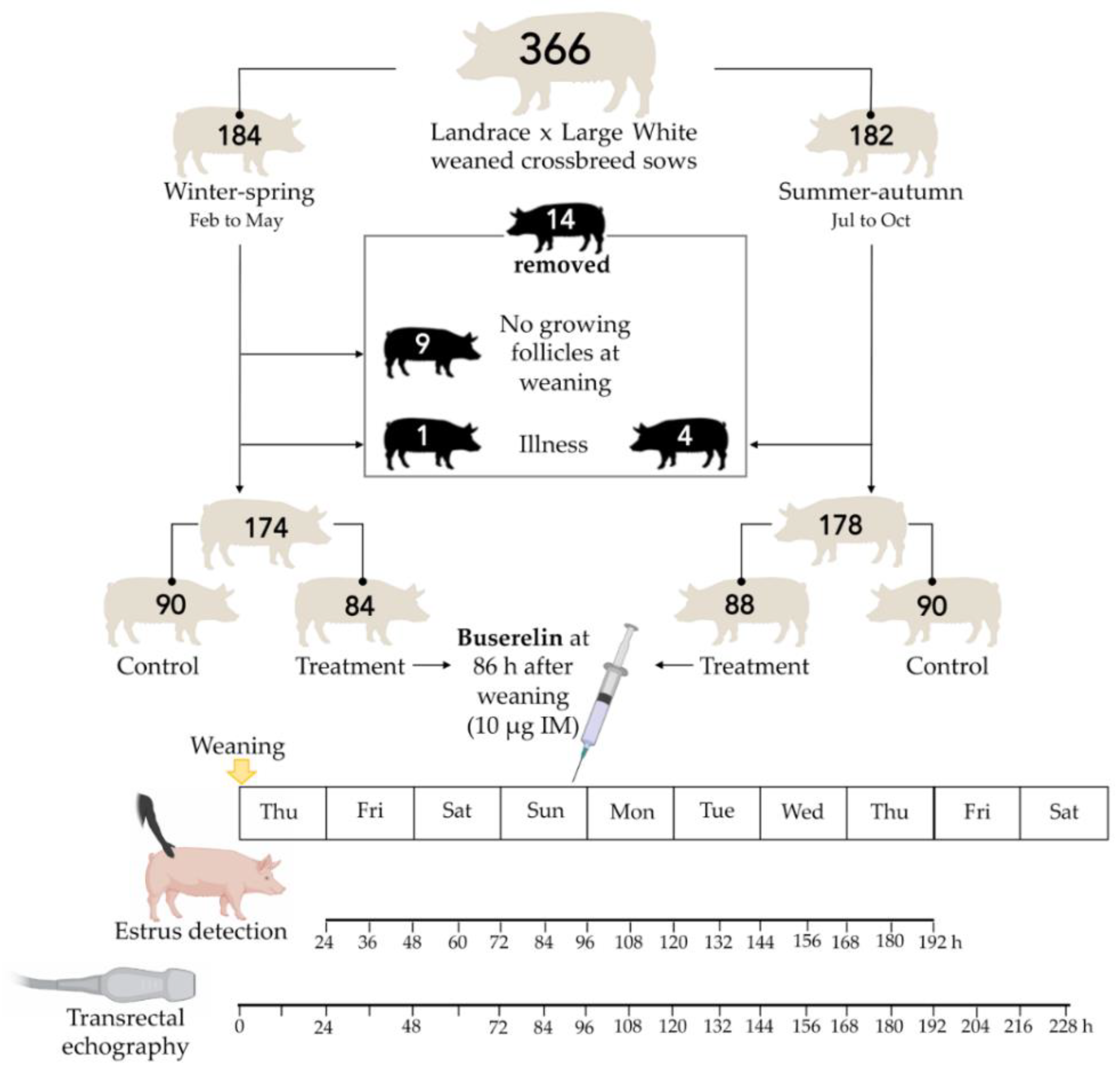 Animals 10 01979 g001 Animals 10 01979 g001