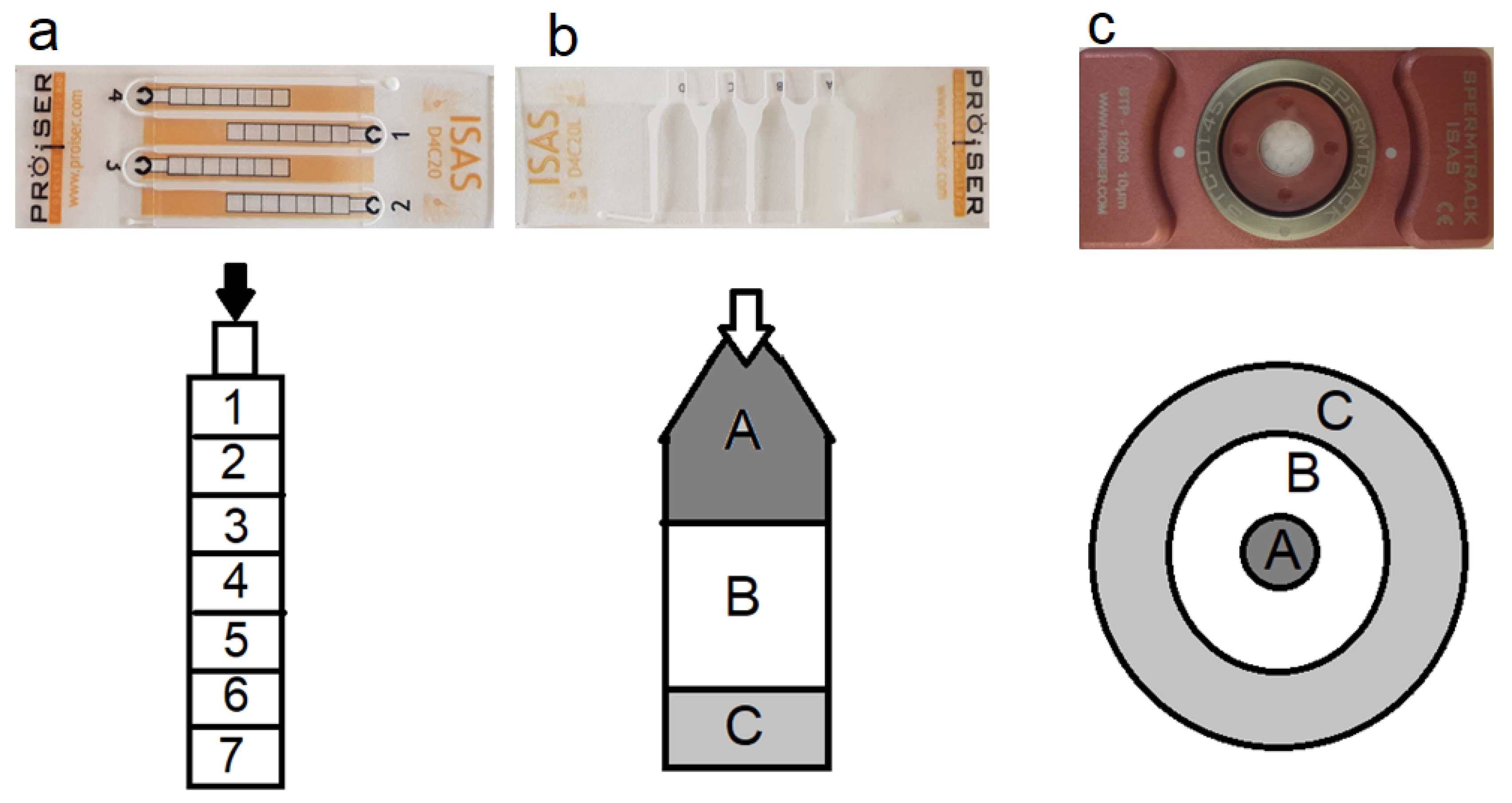 Animals 10 01993 g001