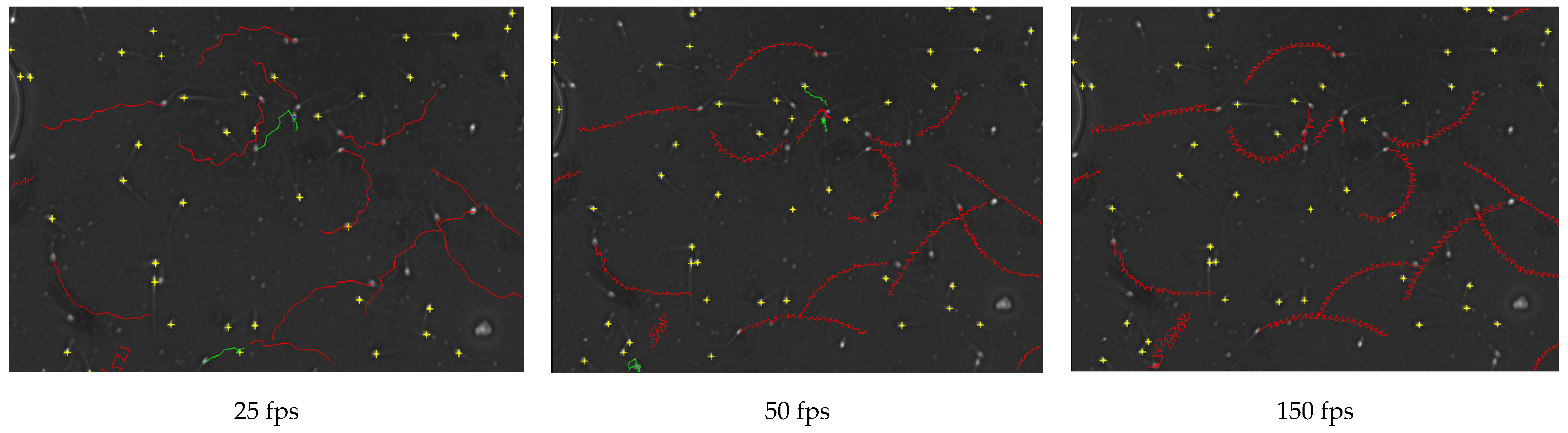 Animals 10 01993 g003