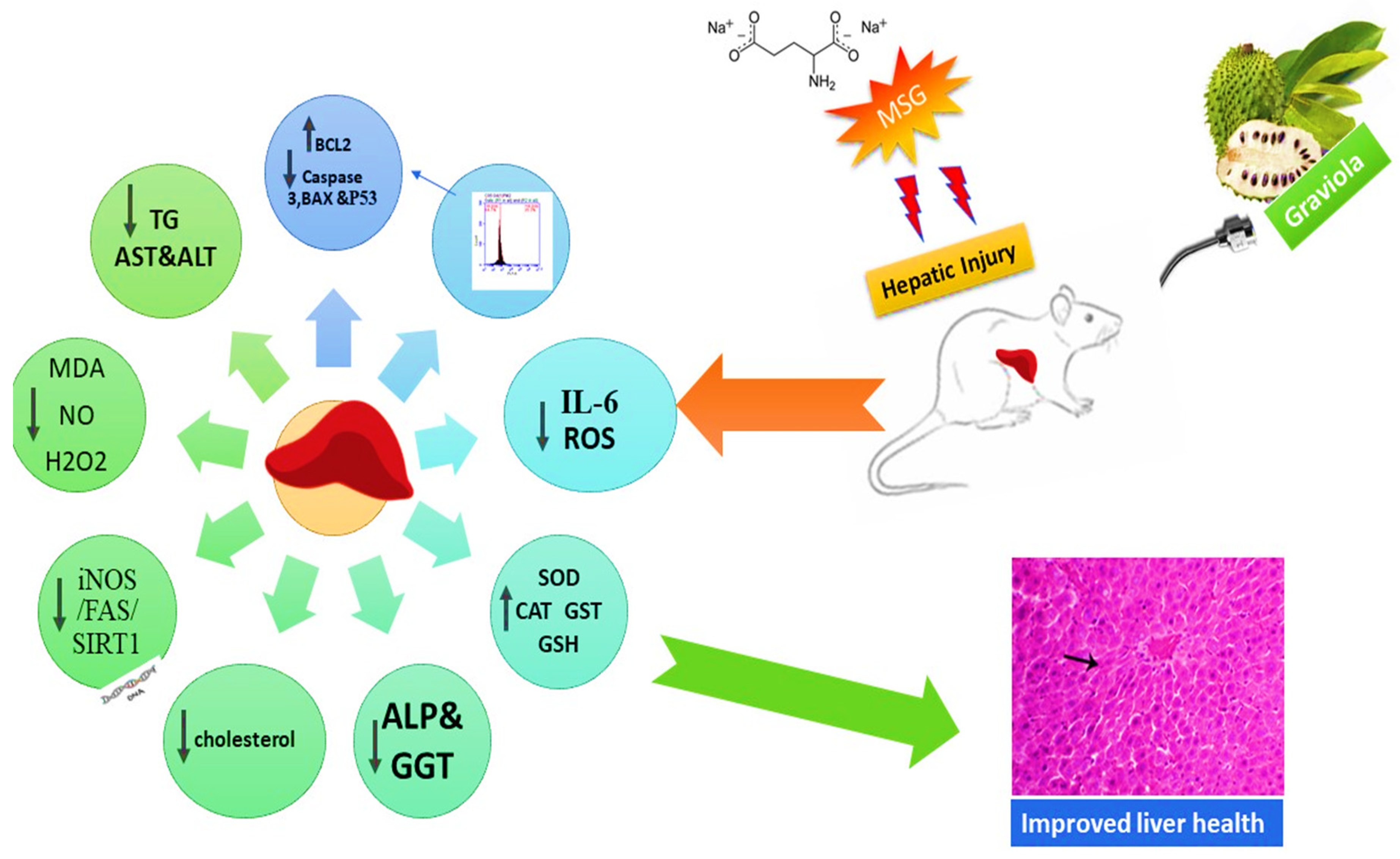 Animals 10 01996 g007 Animals 10 01996 g007