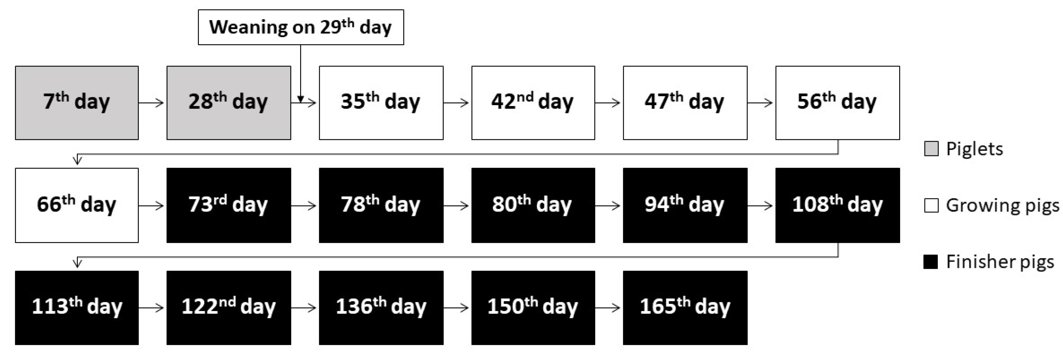 Animals 10 01999 g001