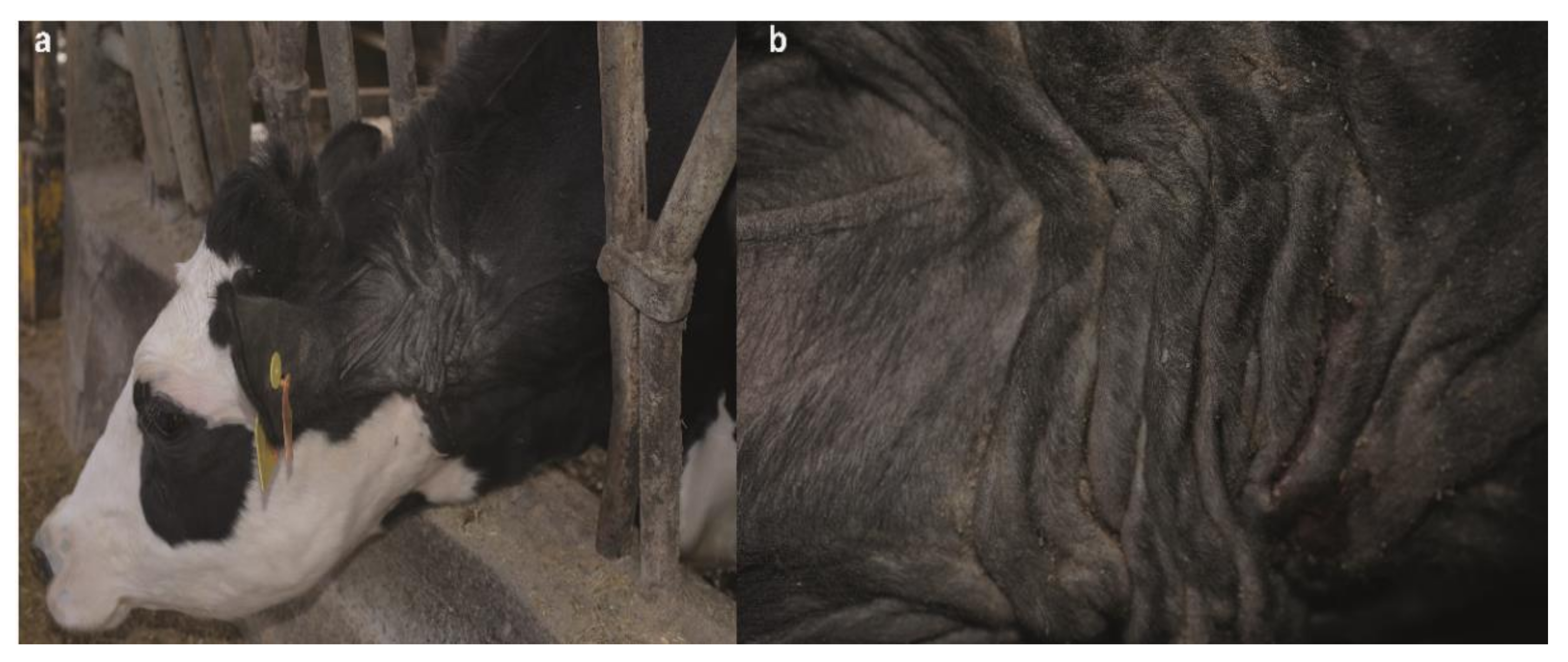 Animals 10 02002 g002 Animals 10 02002 g002