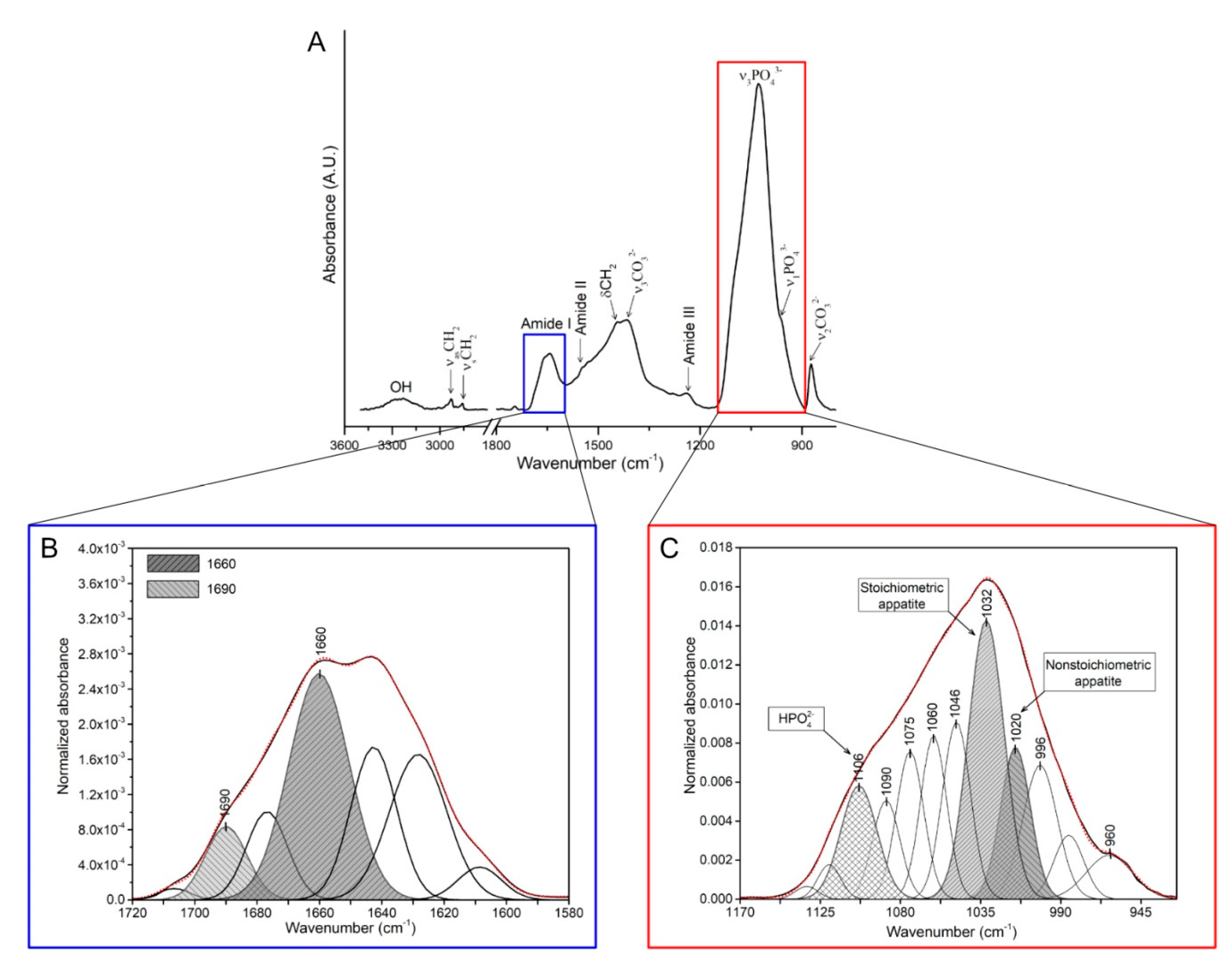 Animals Free Full Text The Effect Of Dietary Rye Inclusion And Xylanase Supplementation On Structural Organization Of Bone Constitutive Phases In Laying Hens Fed A Wheat Corn Diet Html