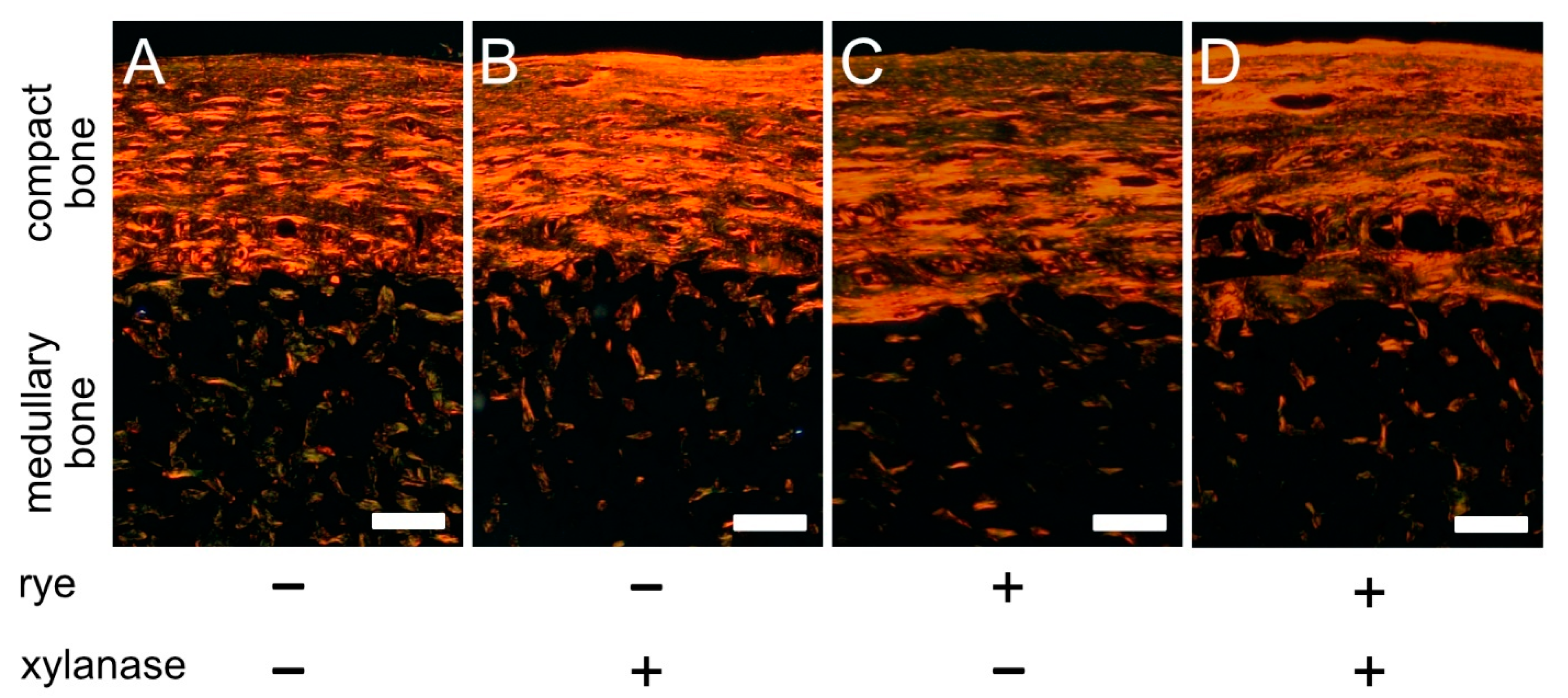 Animals 10 02010 g003 Animals 10 02010 g003