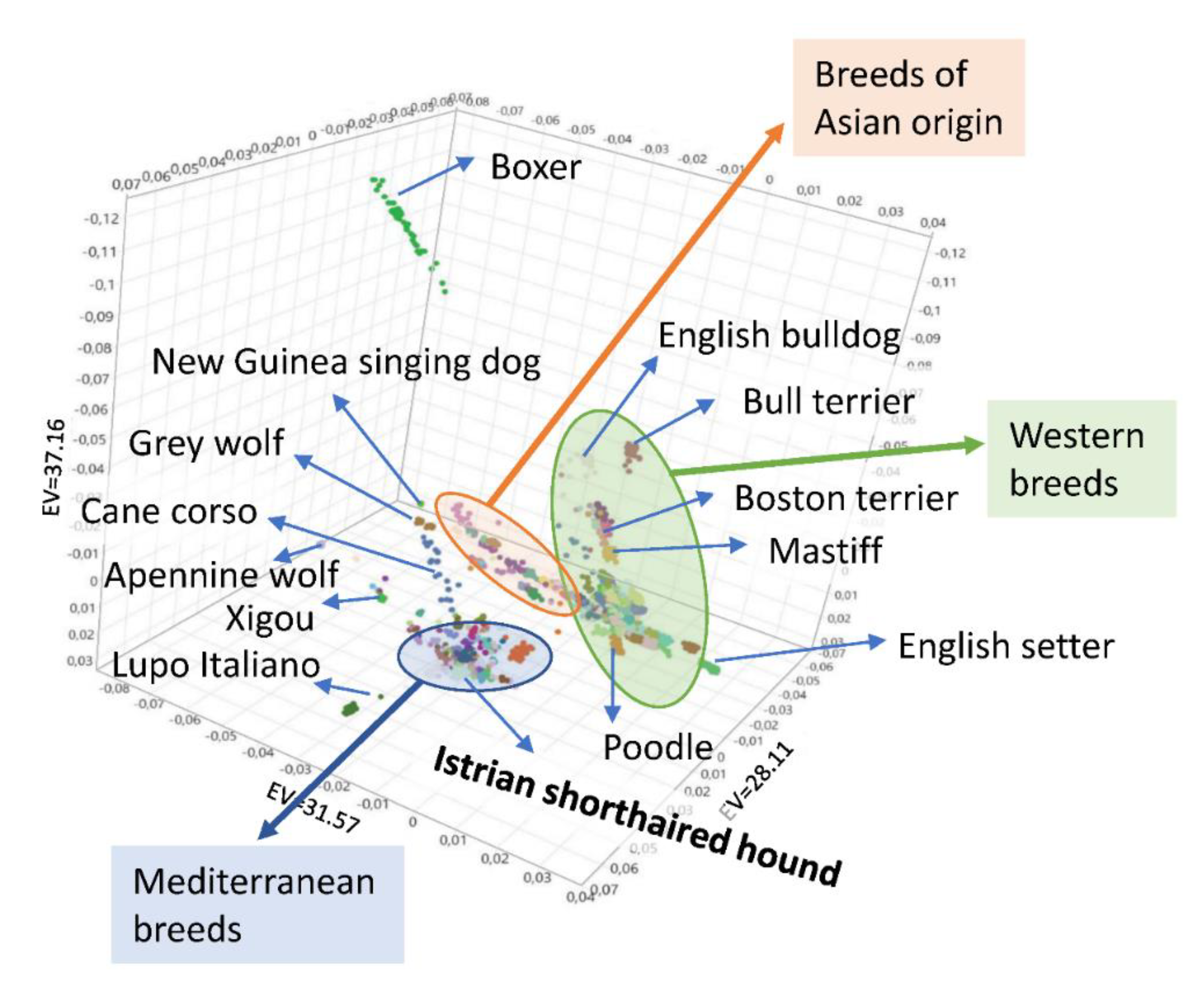 Animals 10 02013 g004