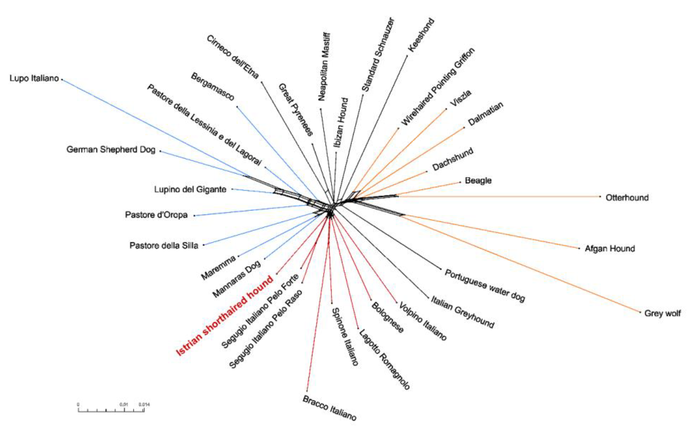 Animals 10 02013 g006