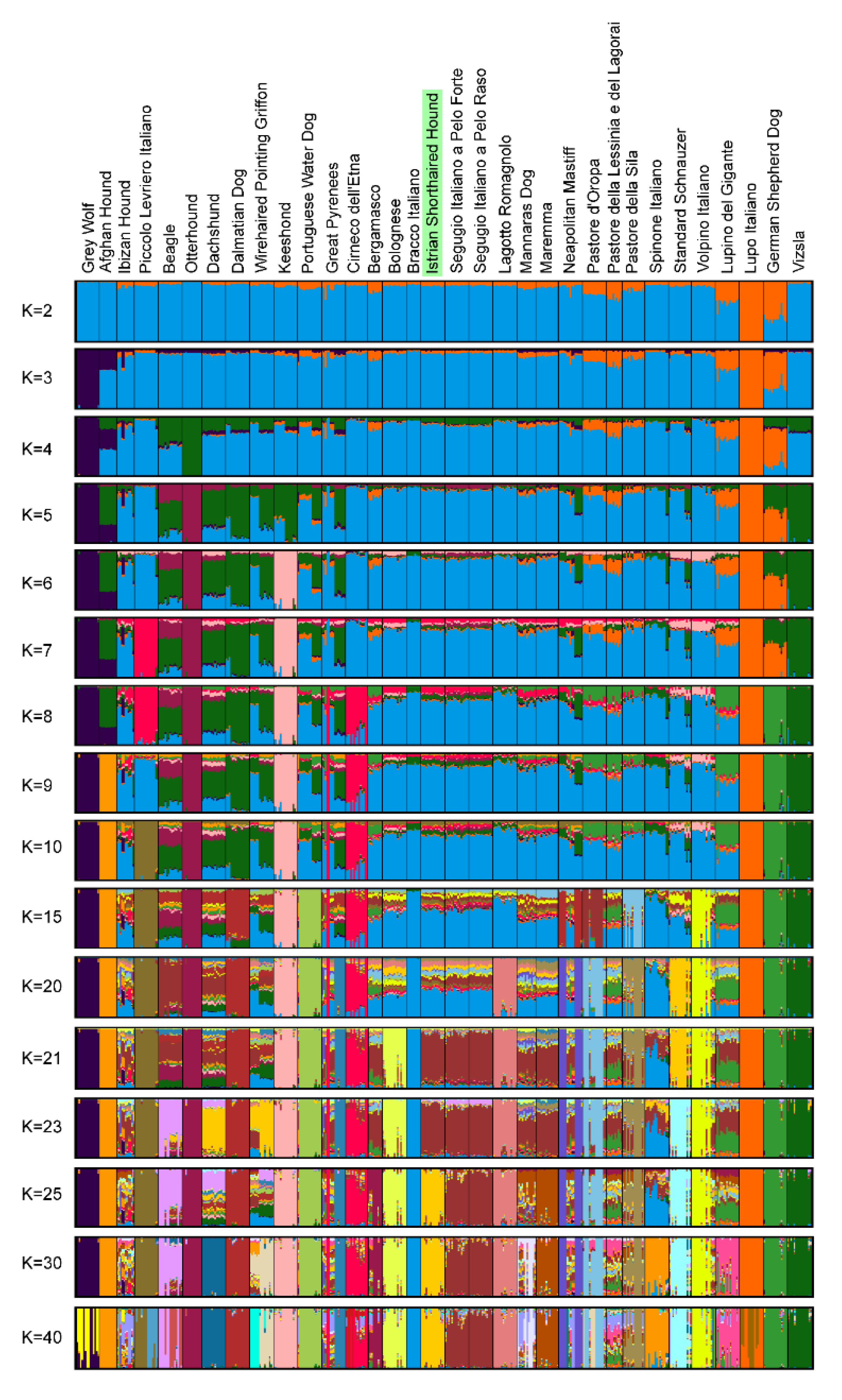 Animals 10 02013 g007