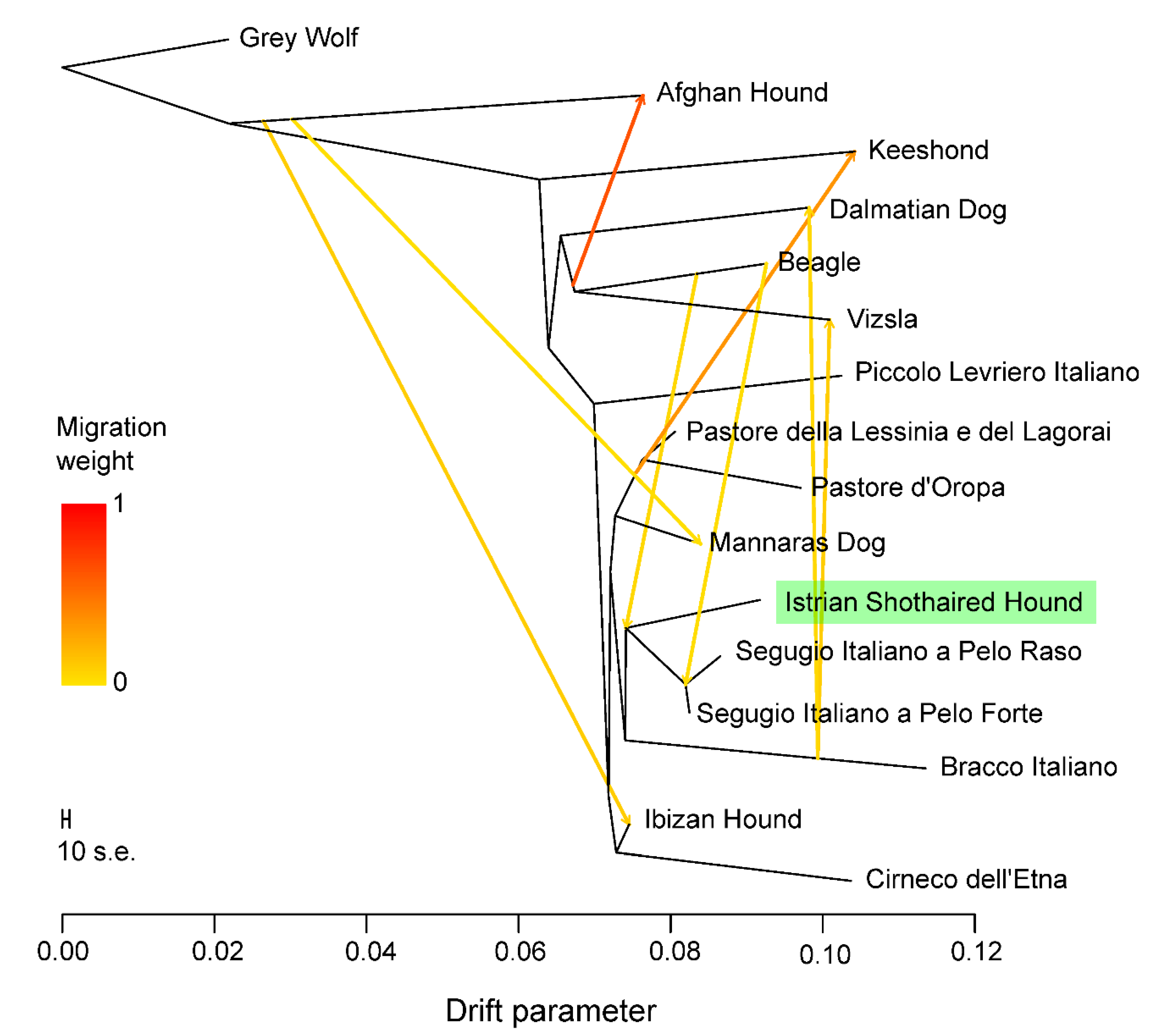 Animals 10 02013 g008
