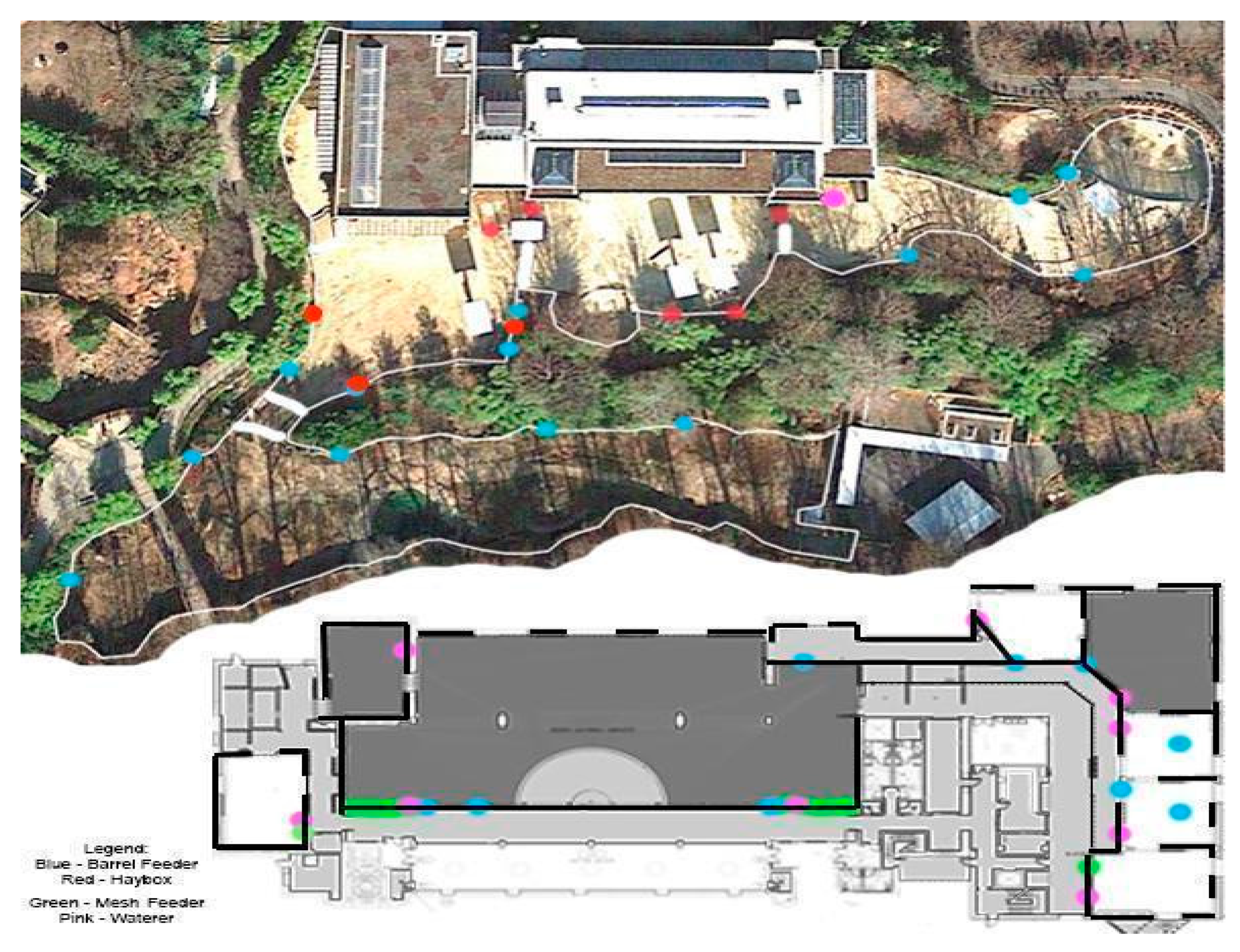 Animals 10 02026 g002