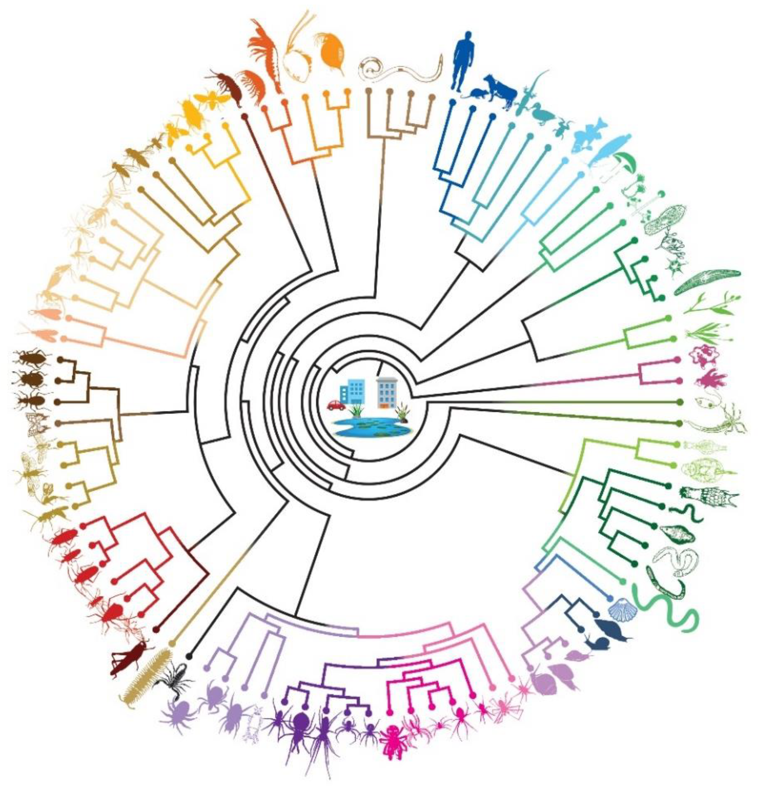 Animals 10 02064 g003 Animals 10 02064 g003