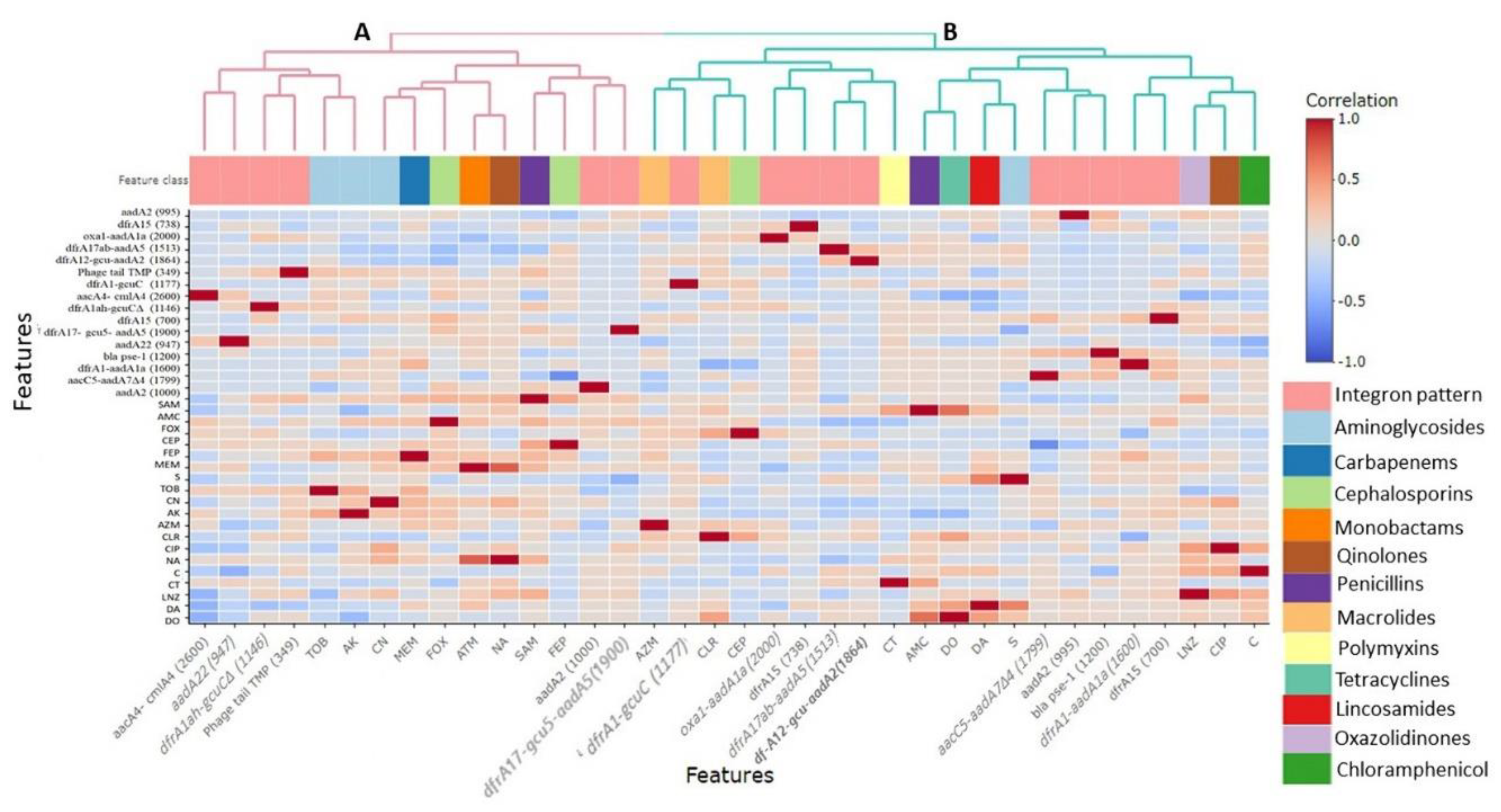 Animals 10 02067 g002