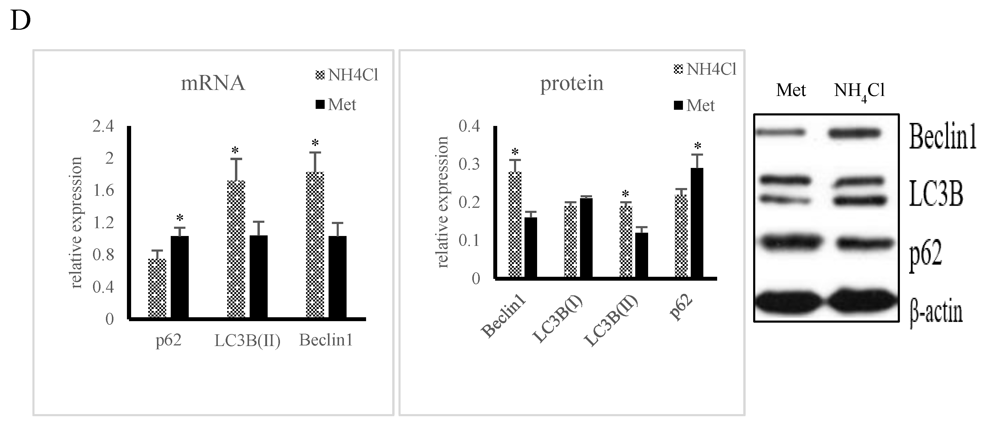 Animals 10 02079 g002b