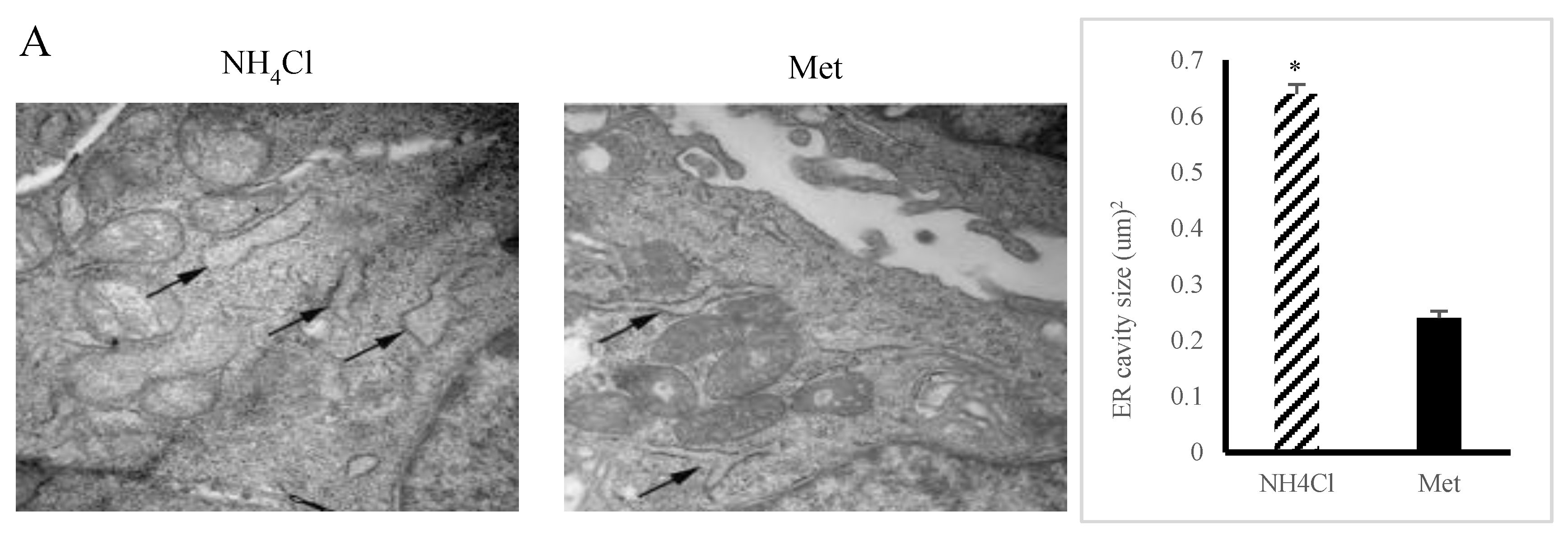 Animals 10 02079 g003a