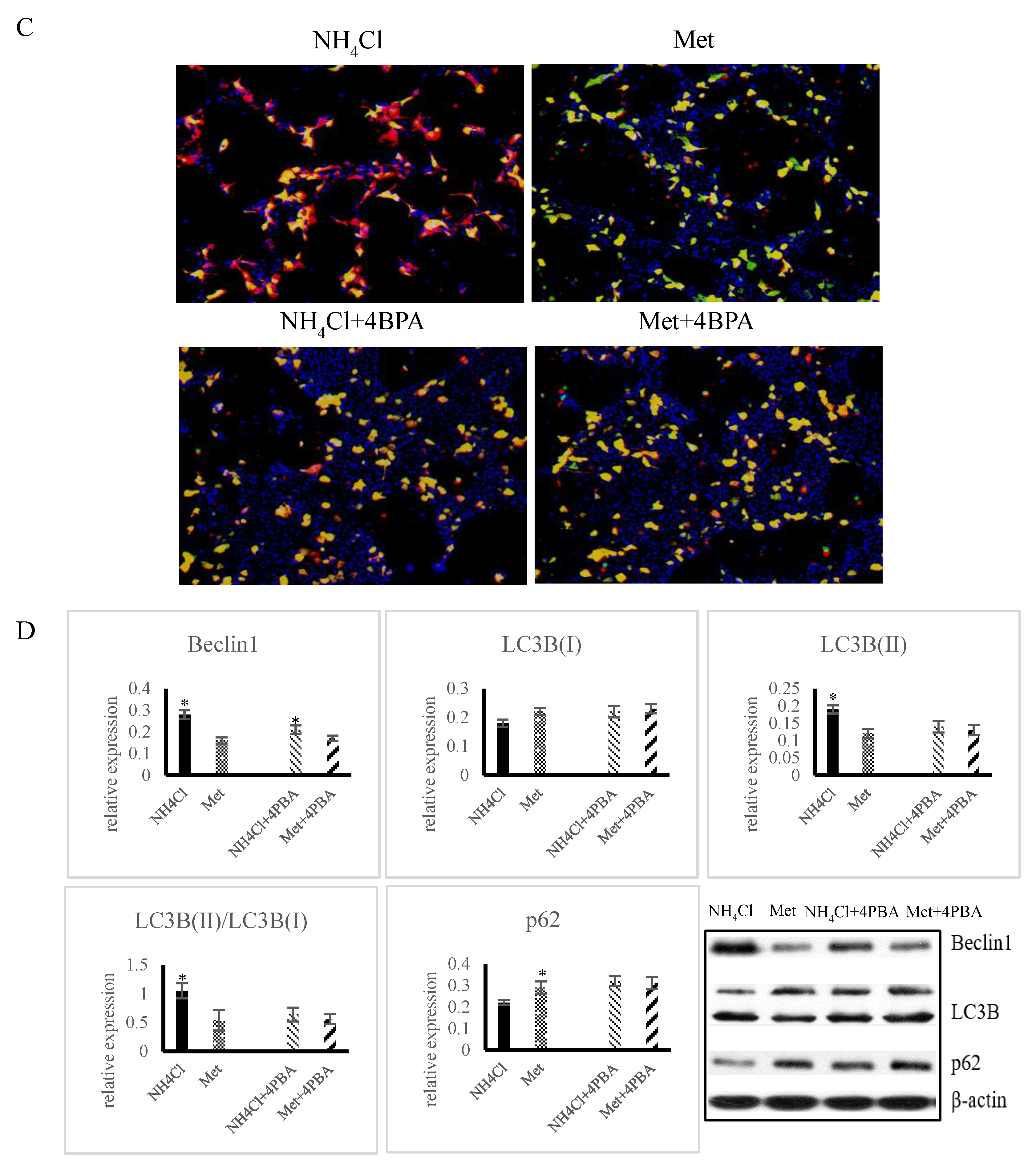 Animals 10 02079 g005b