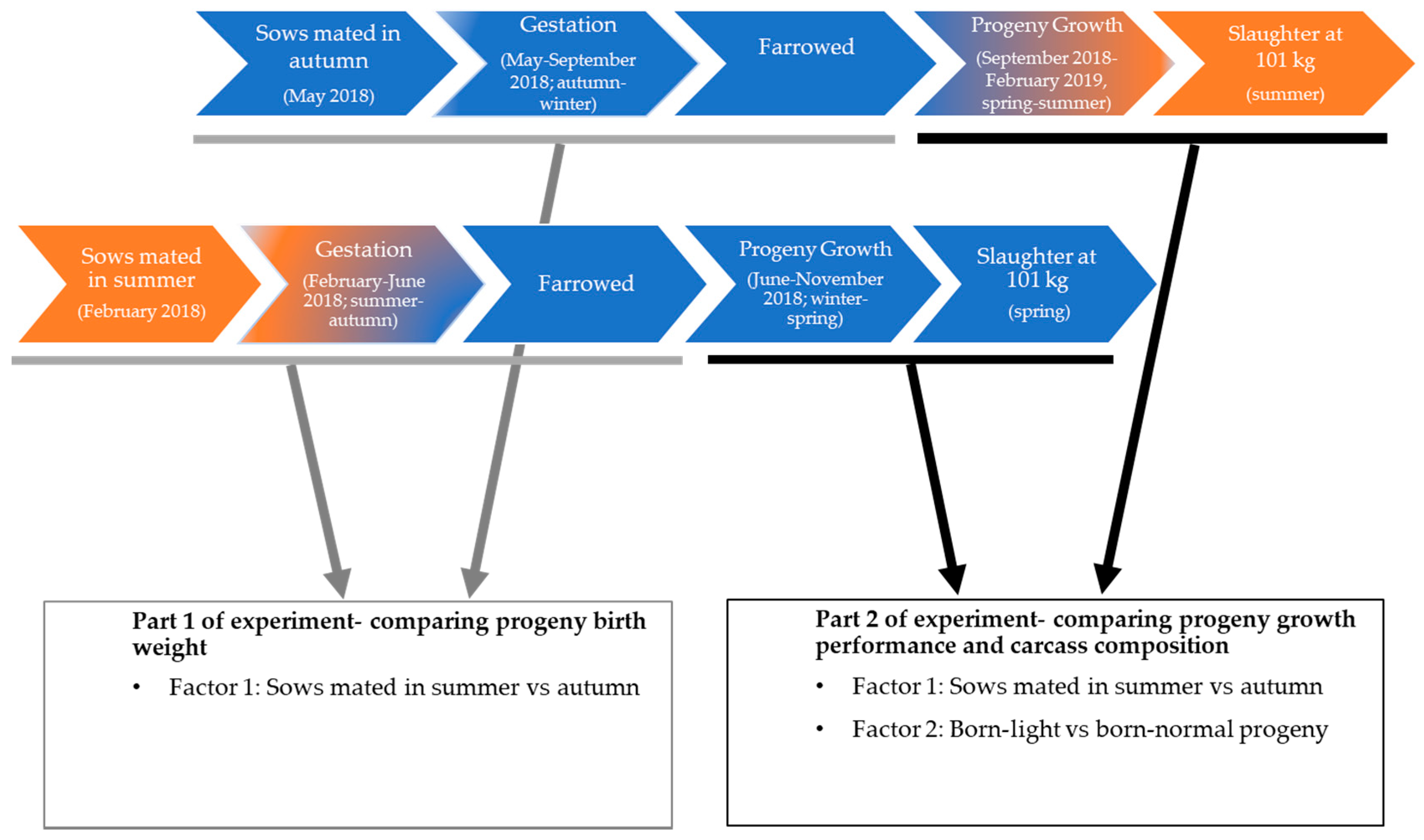 Animals 10 02080 g001