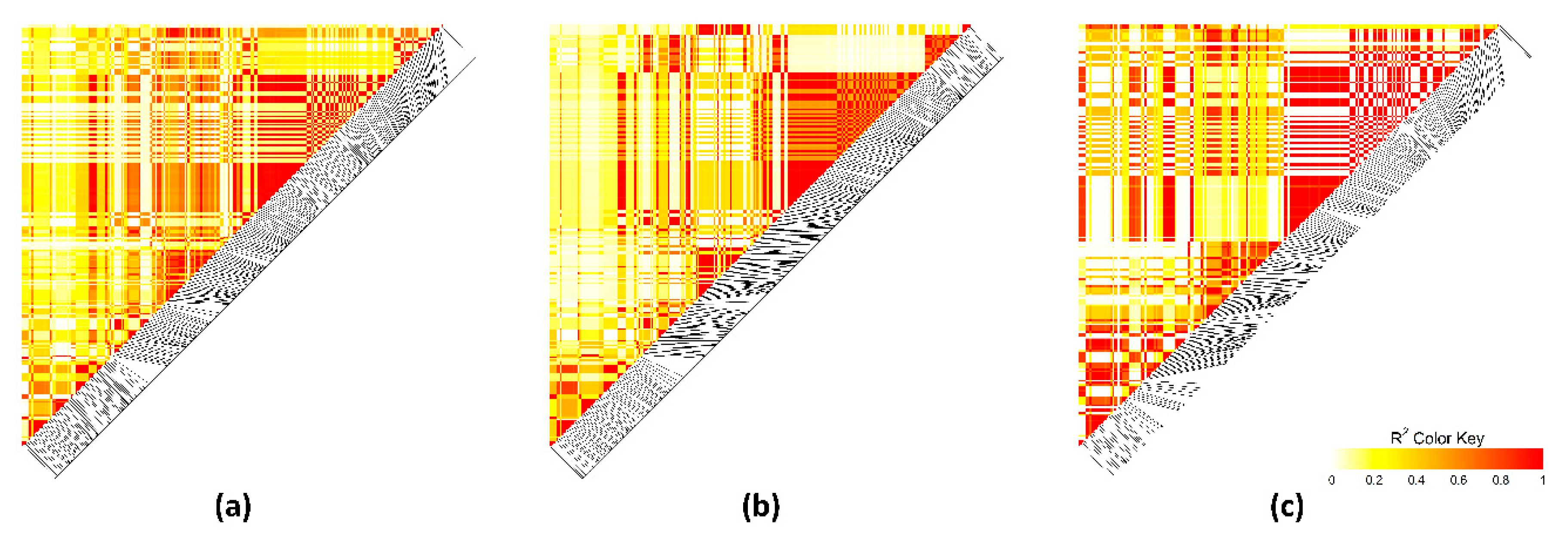Animals 10 02090 g004