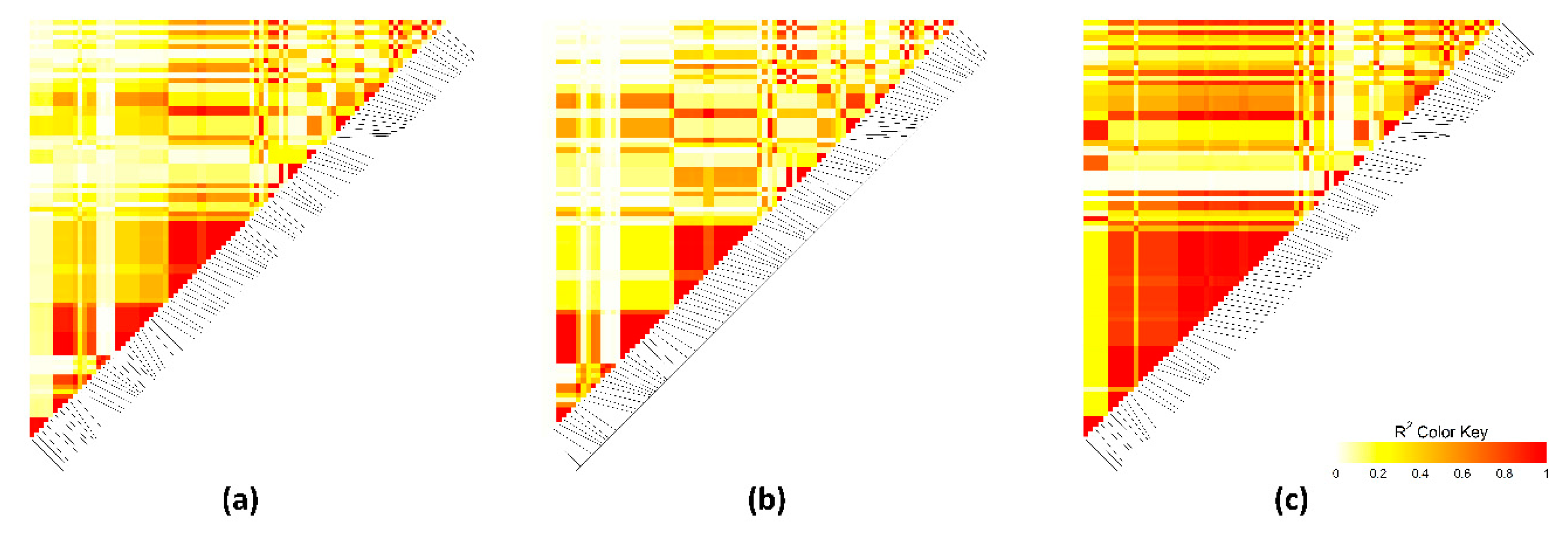 Animals 10 02090 g005