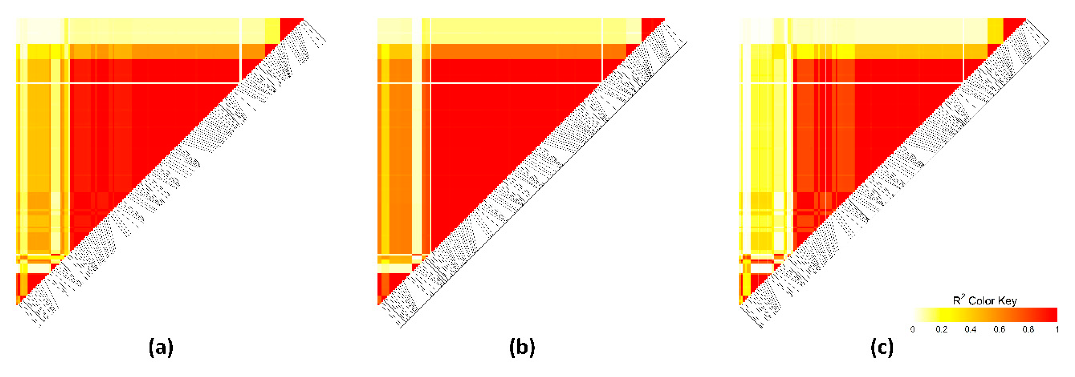 Animals 10 02090 g006