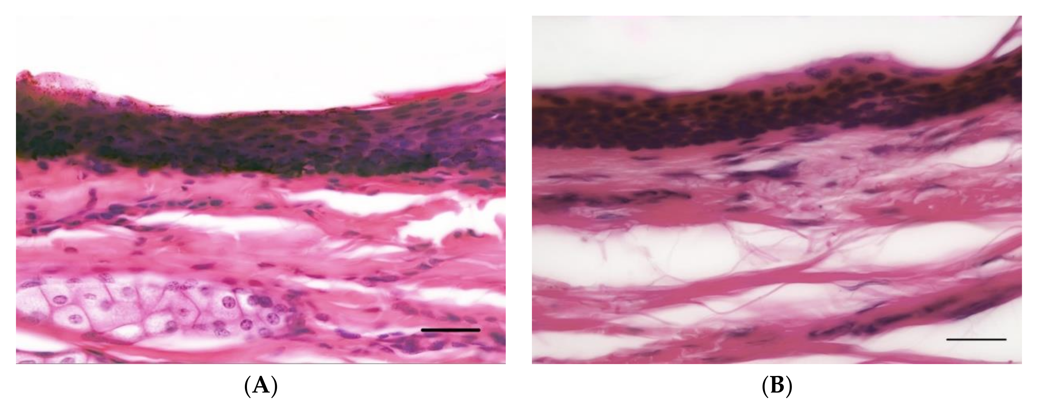 Animals 10 02094 g001