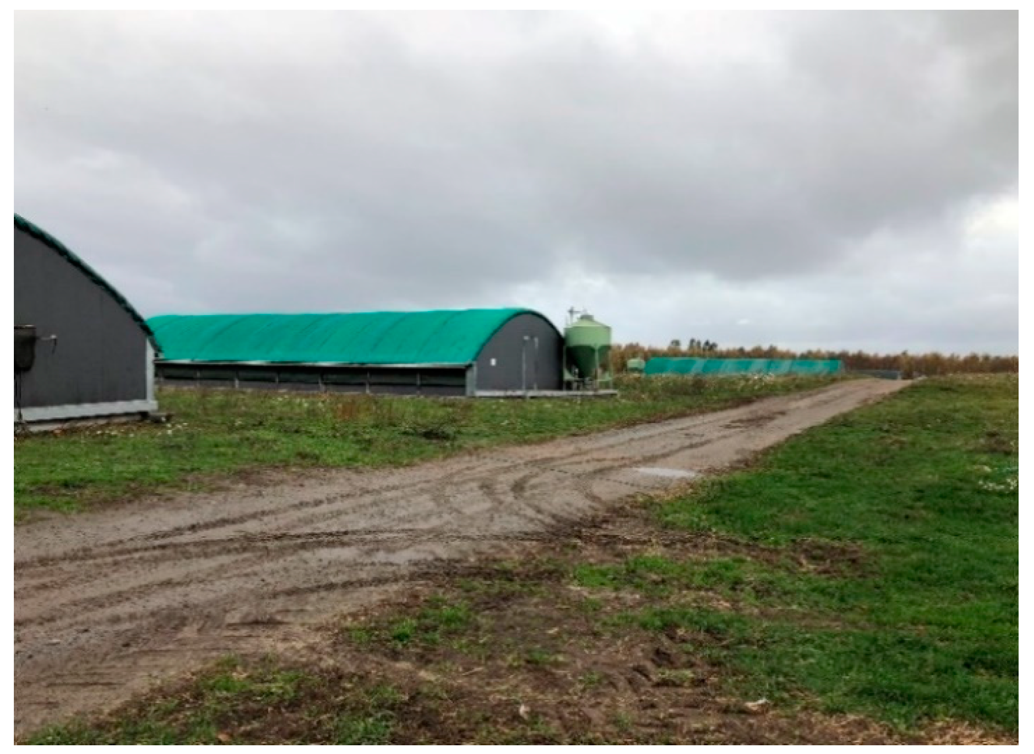 Animals 10 02098 g002 Animals 10 02098 g002