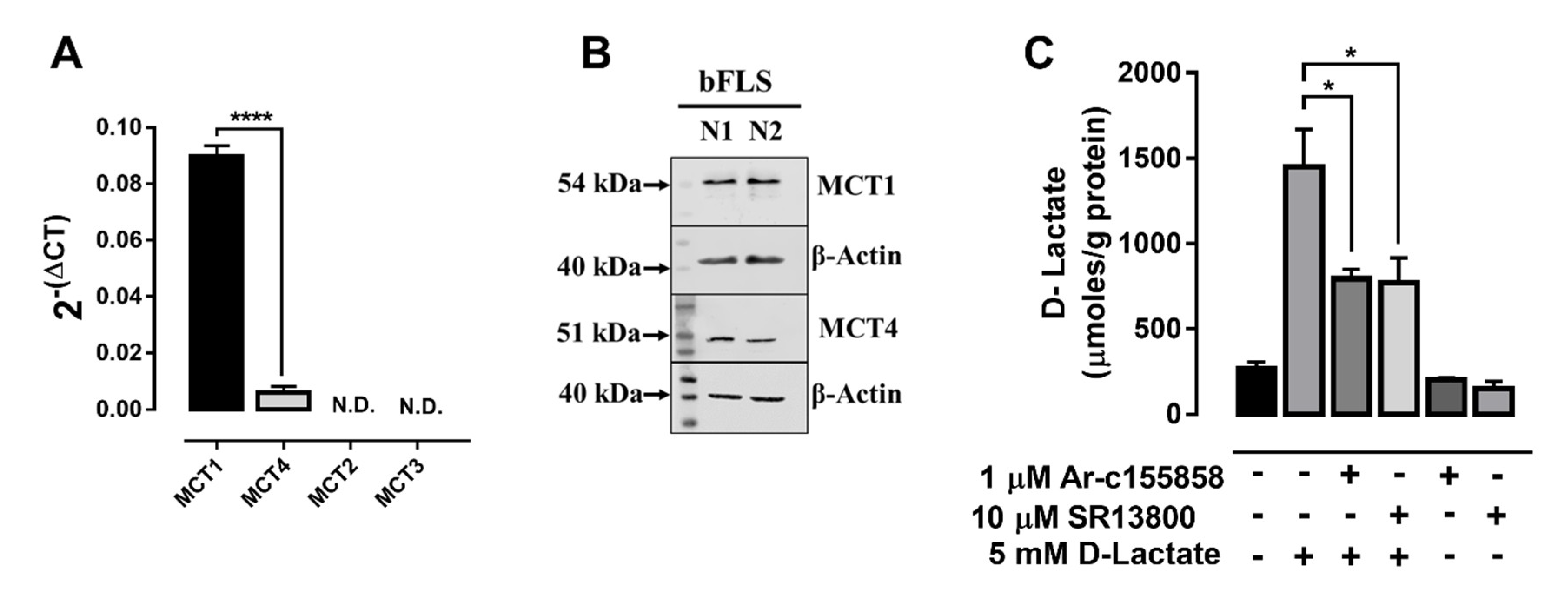 Animals 10 02105 g002
