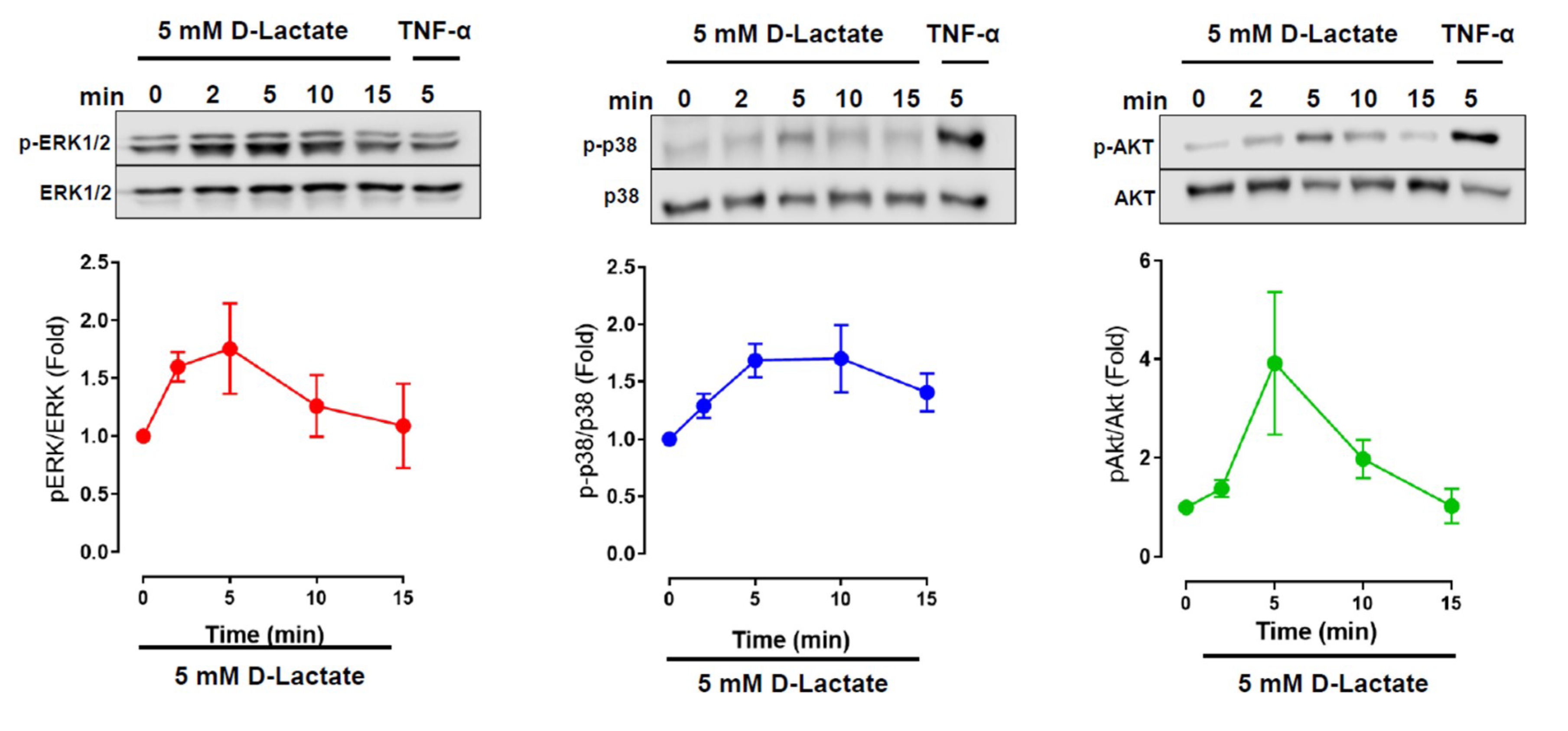 Animals 10 02105 g004