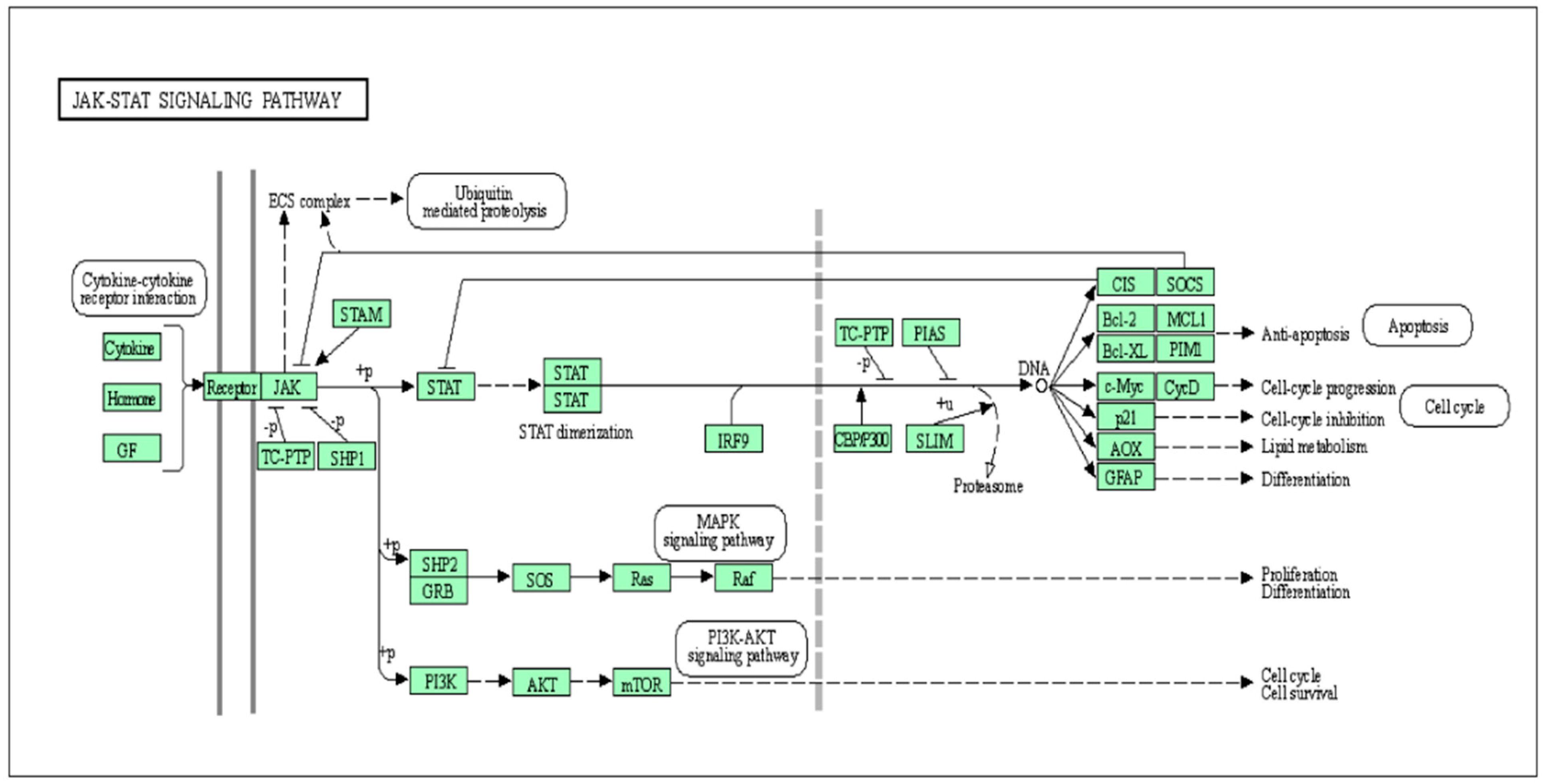 Animals 10 02107 g001 Animals 10 02107 g001