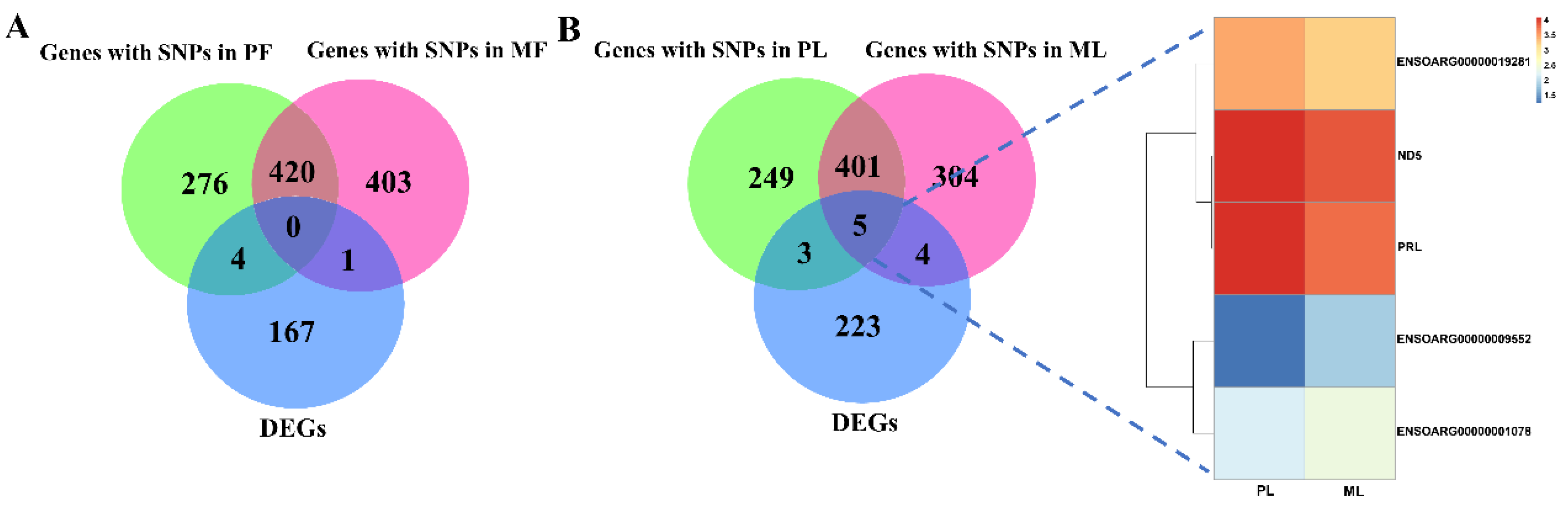 Animals 10 02111 g005