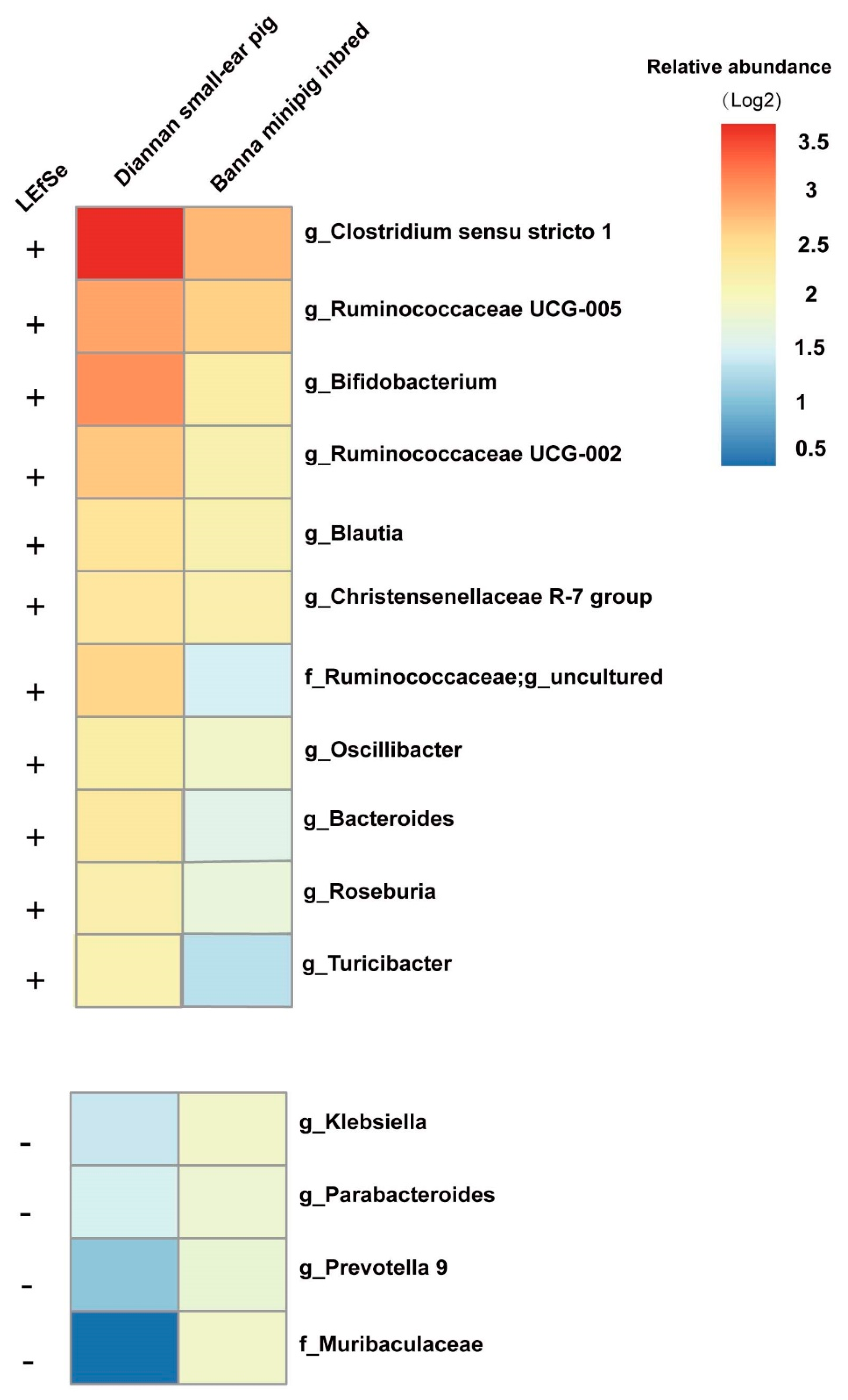 Animals 10 02125 g004 Animals 10 02125 g004