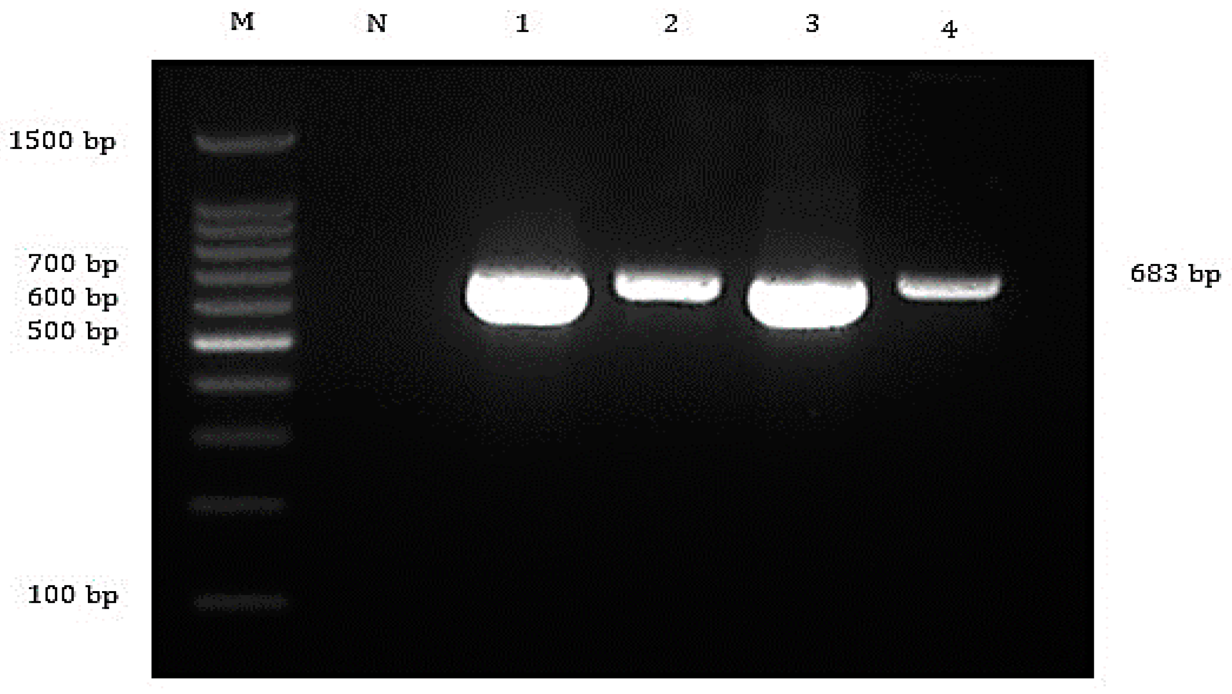 Animals 10 02141 g003 Animals 10 02141 g003