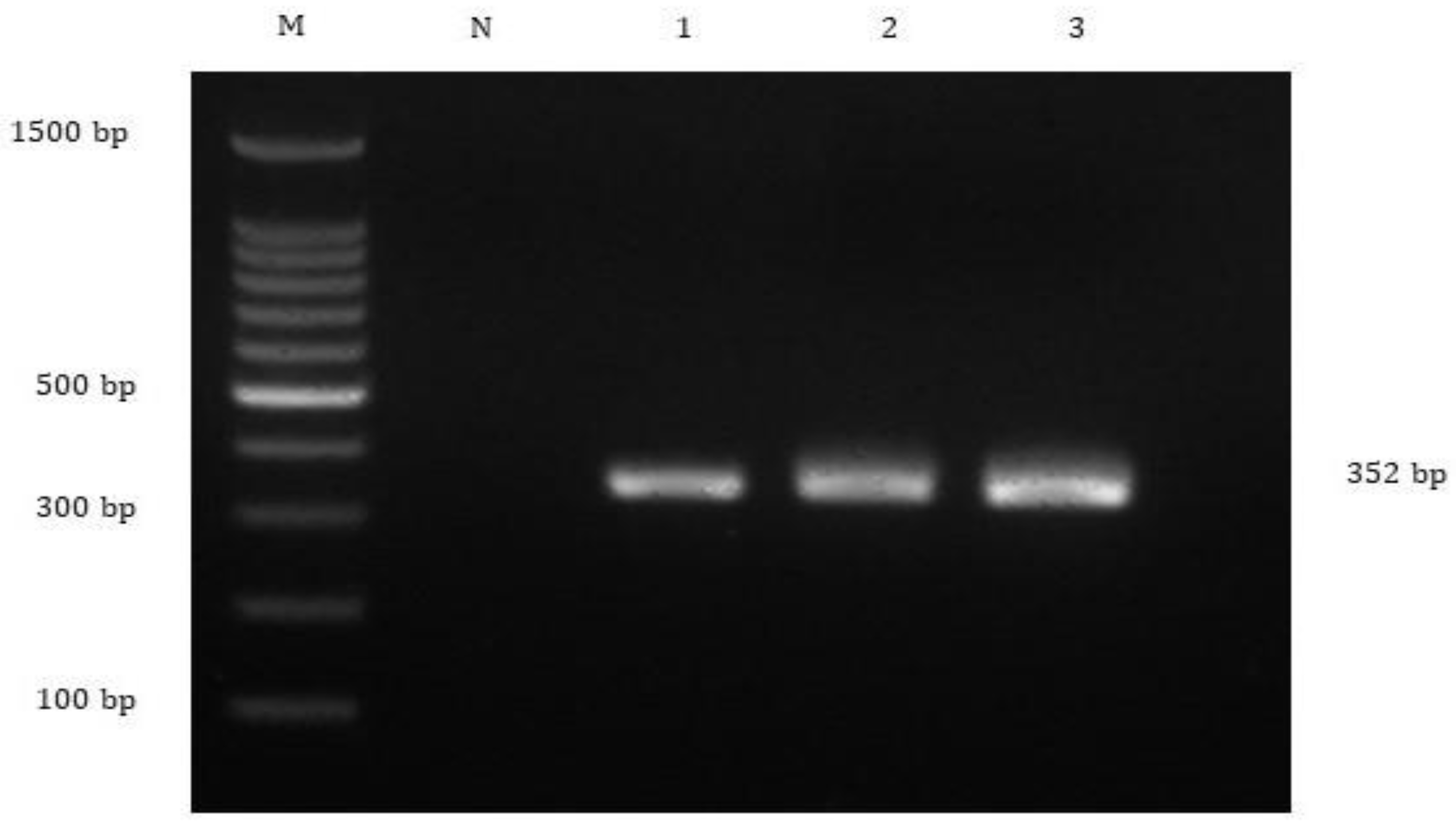 Animals 10 02141 g004 Animals 10 02141 g004