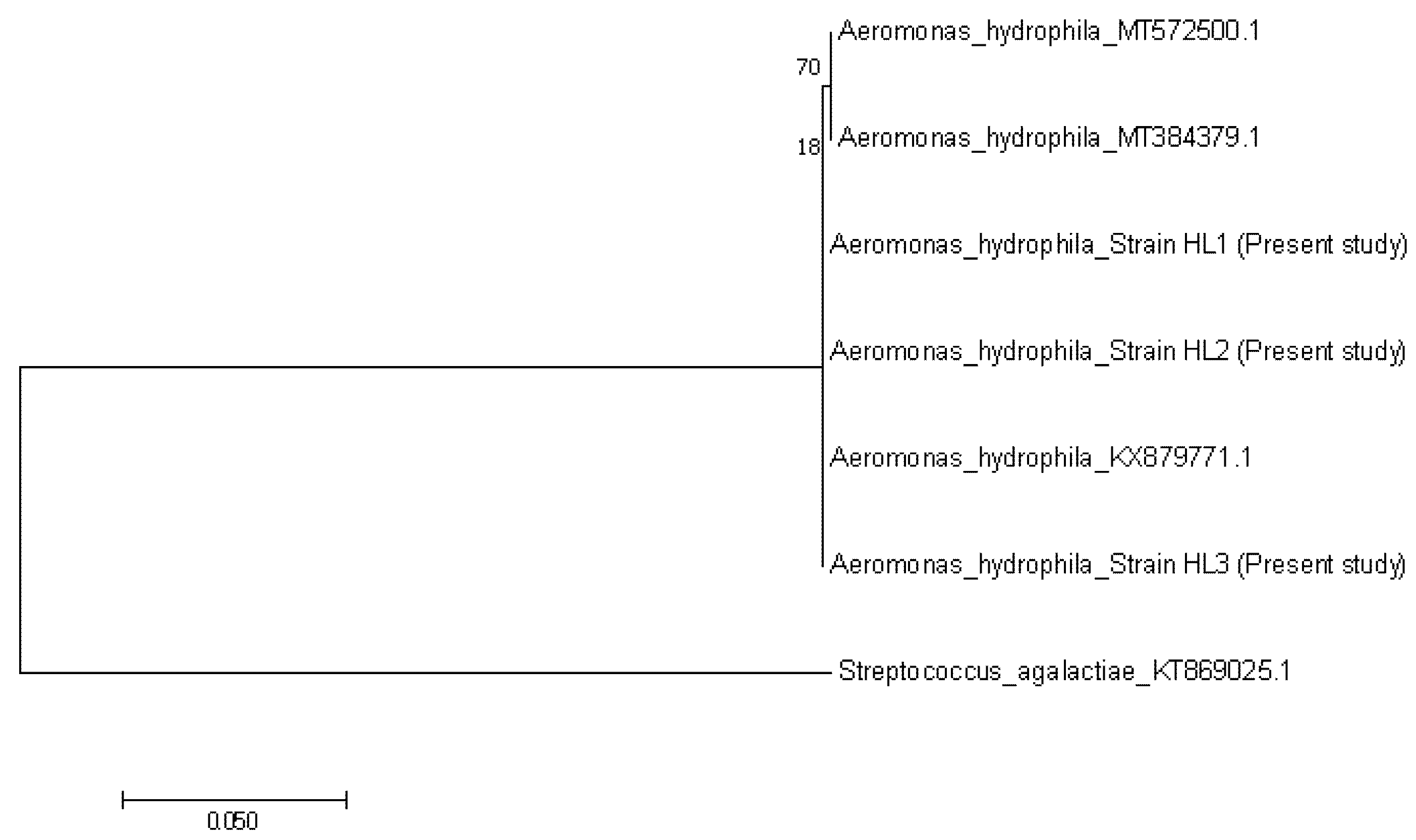 Animals 10 02141 g006 Animals 10 02141 g006