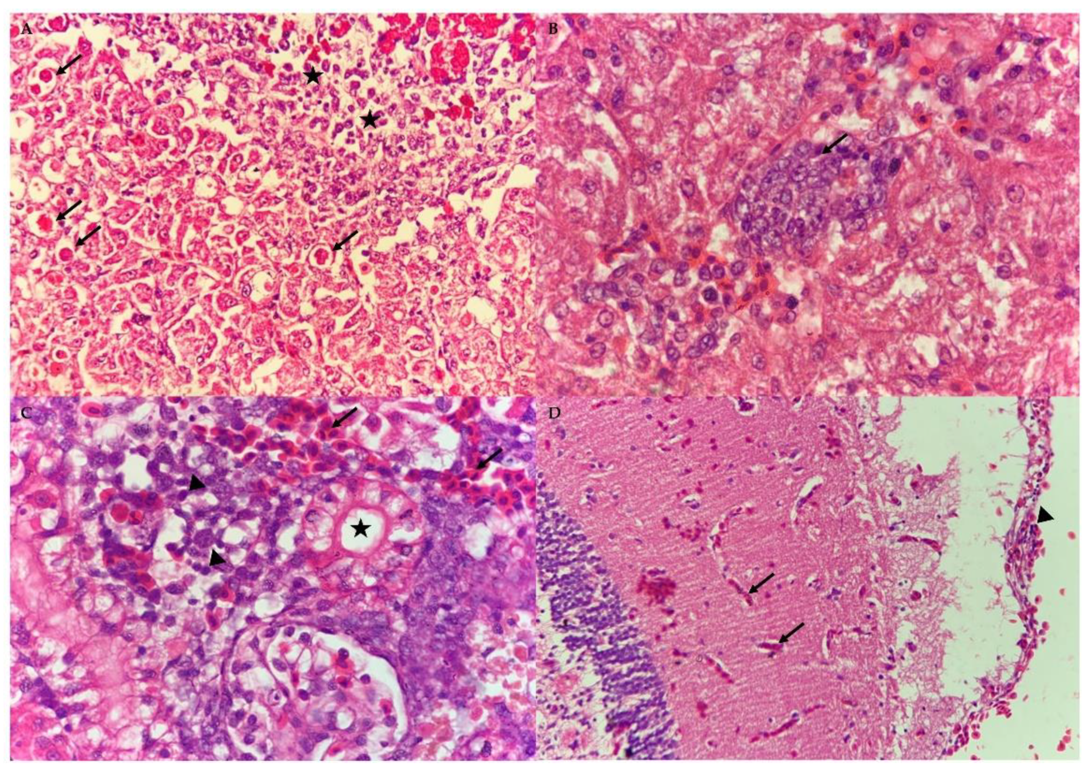 Animals 10 02141 g008 Animals 10 02141 g008