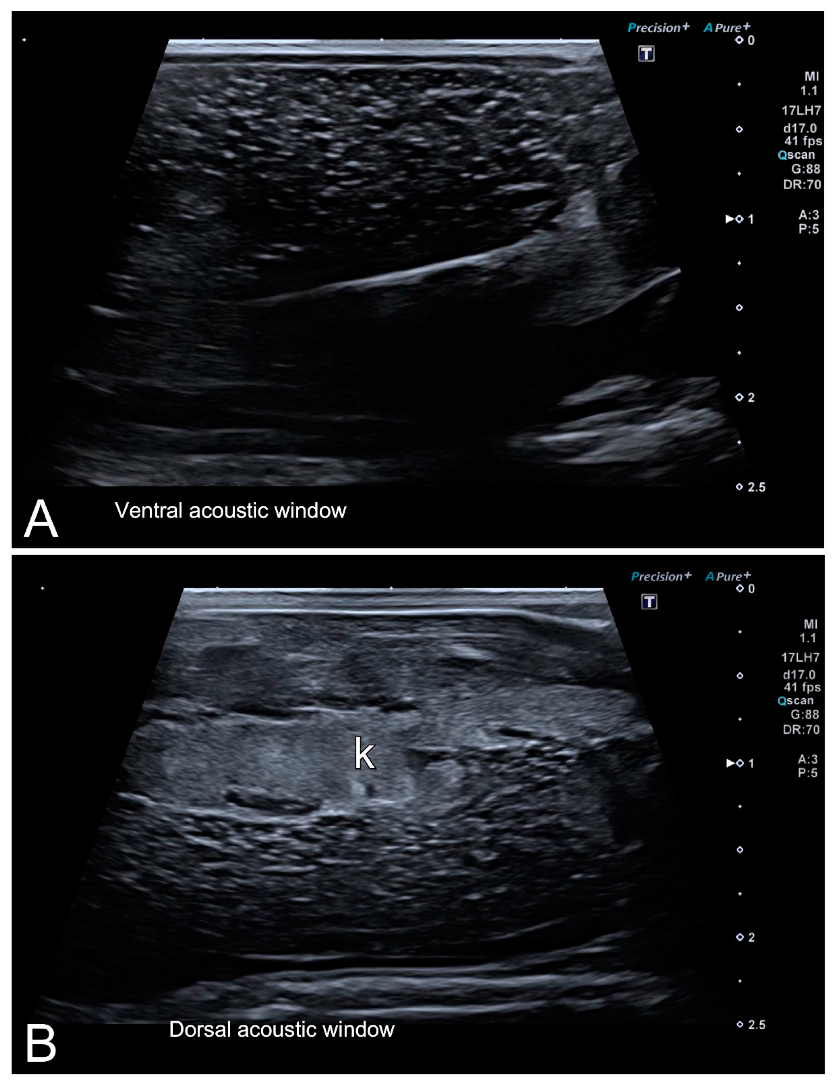 Animals 10 02142 g005